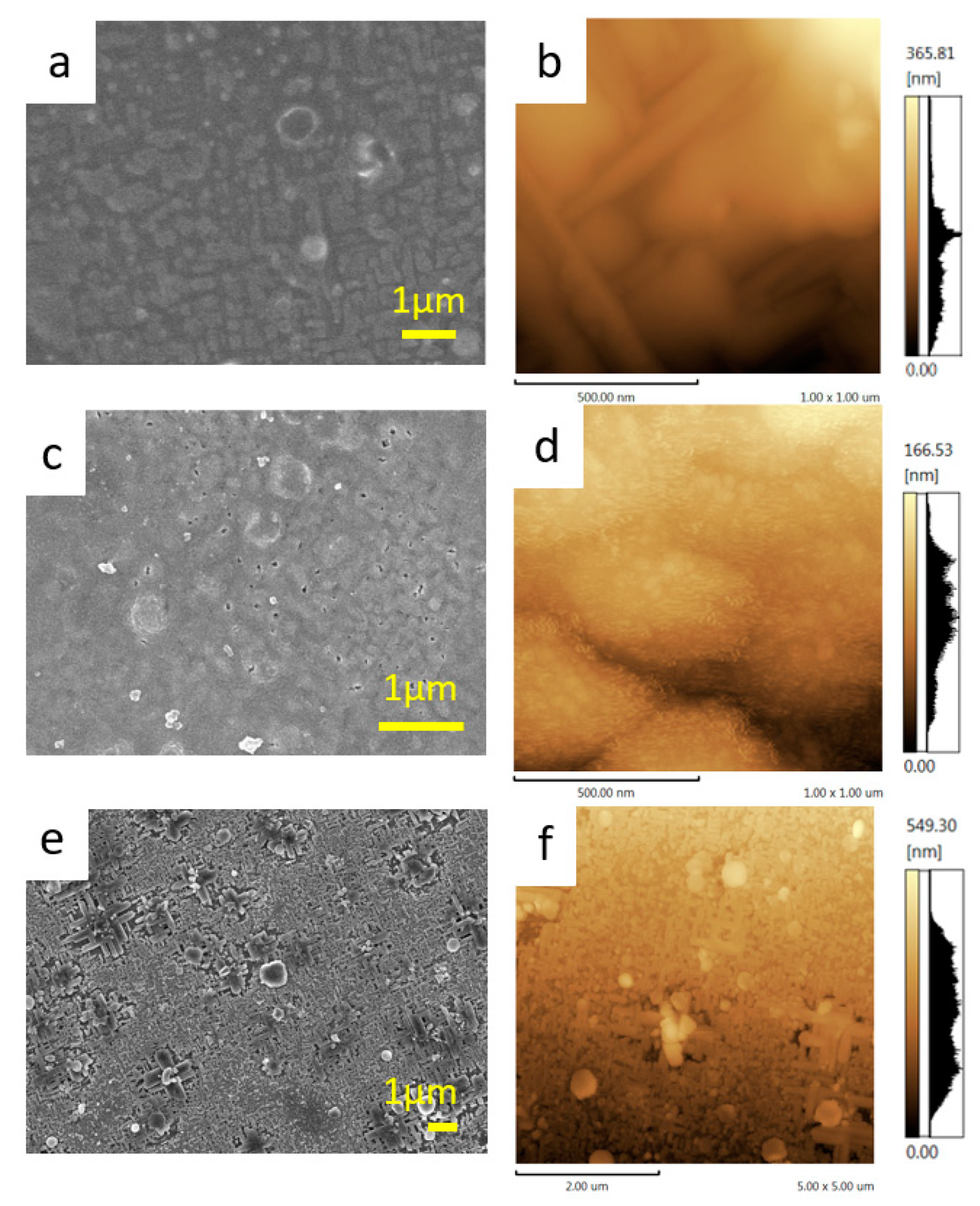Molecules 26 06212 g004