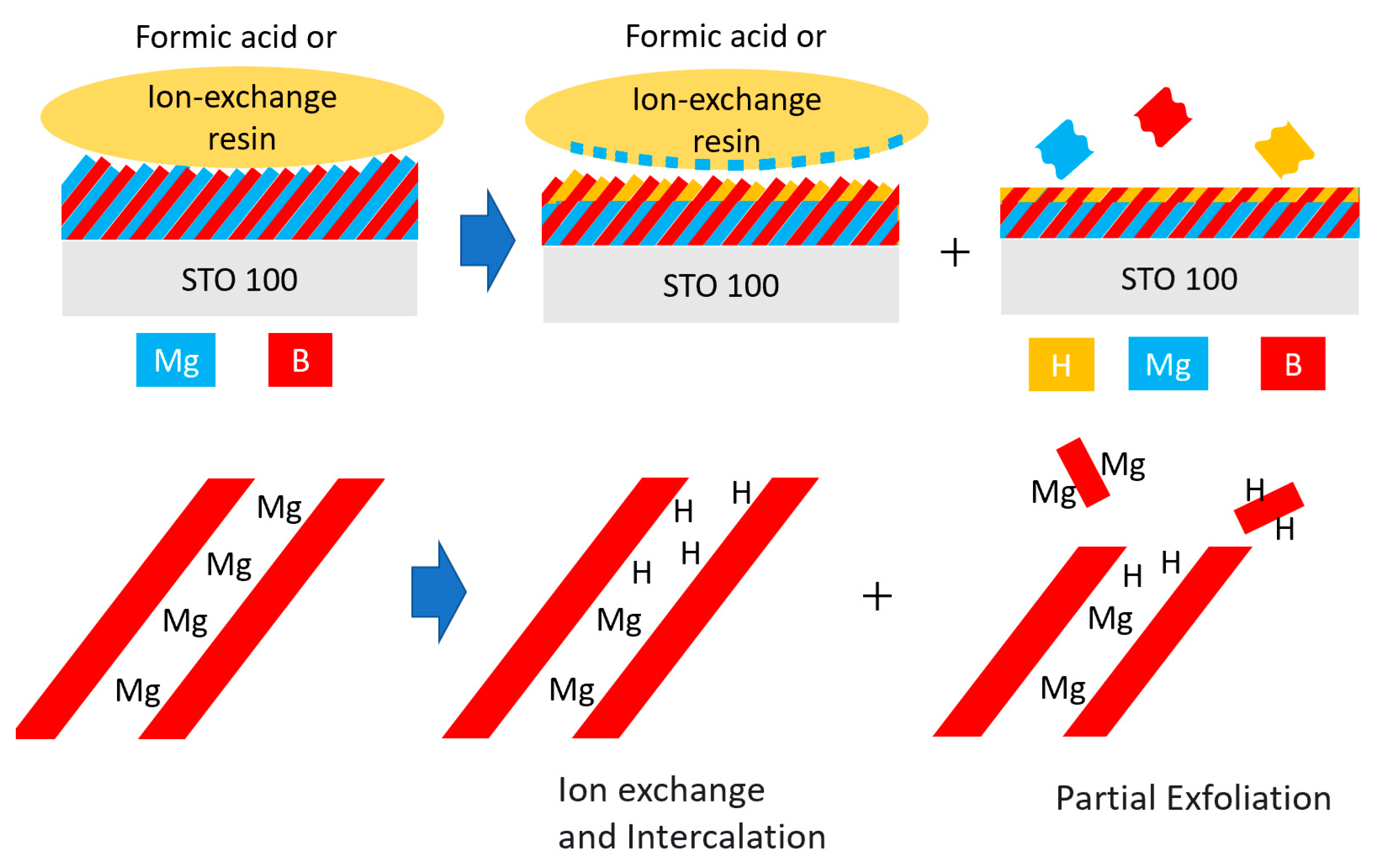 Molecules 26 06212 g006