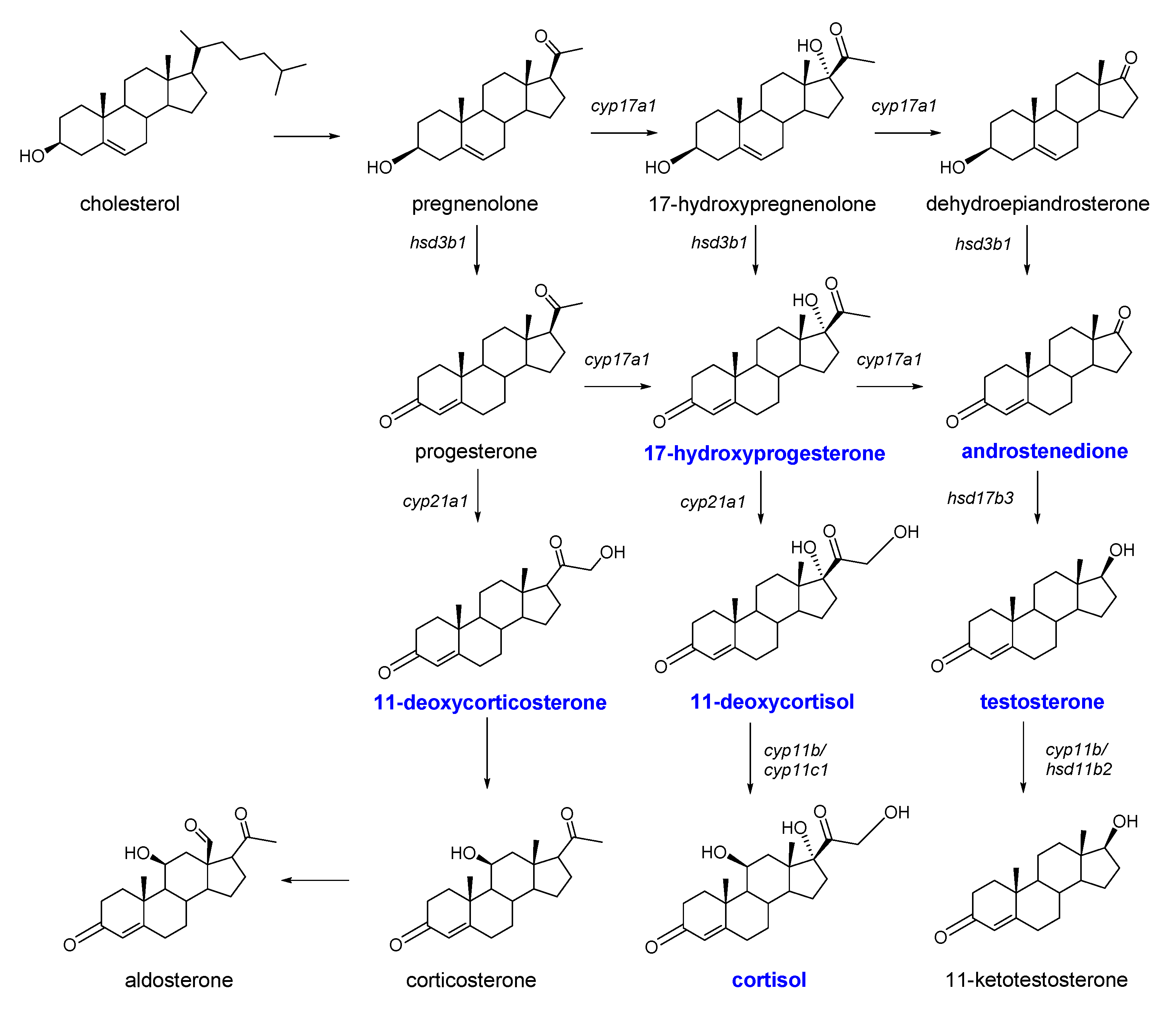 Molecules 26 06213 g001 Molecules 26 06213 g001