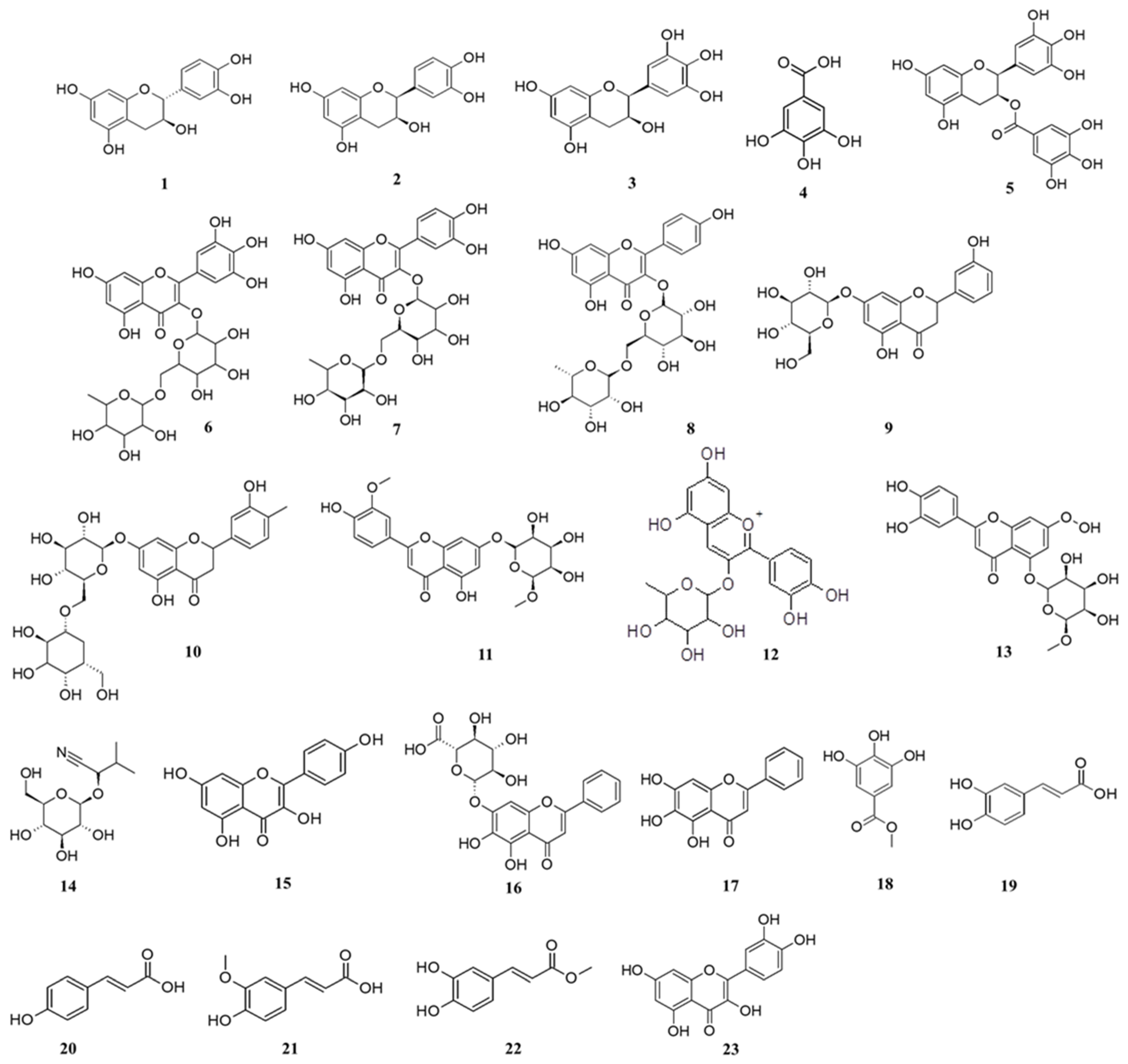 Molecules 26 06214 g006 Molecules 26 06214 g006