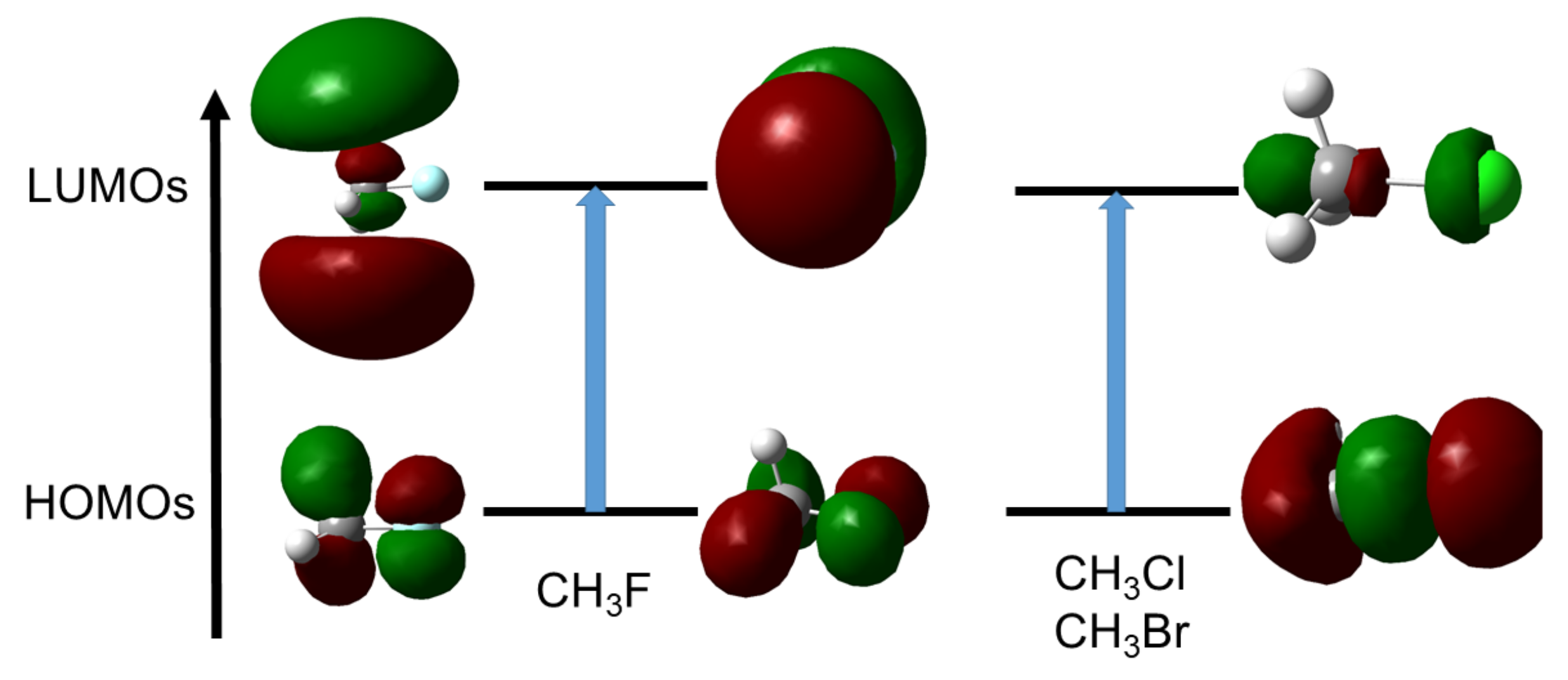 Molecules 26 06218 g008