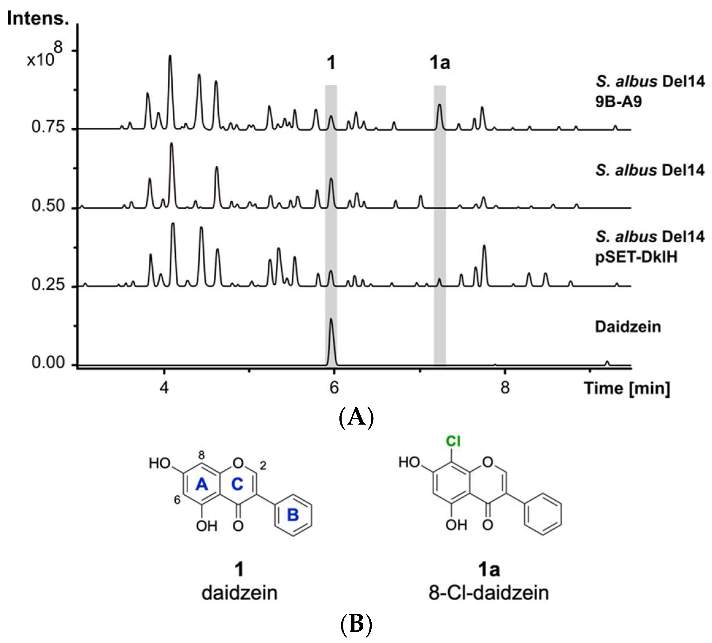 Molecules 26 06220 g001