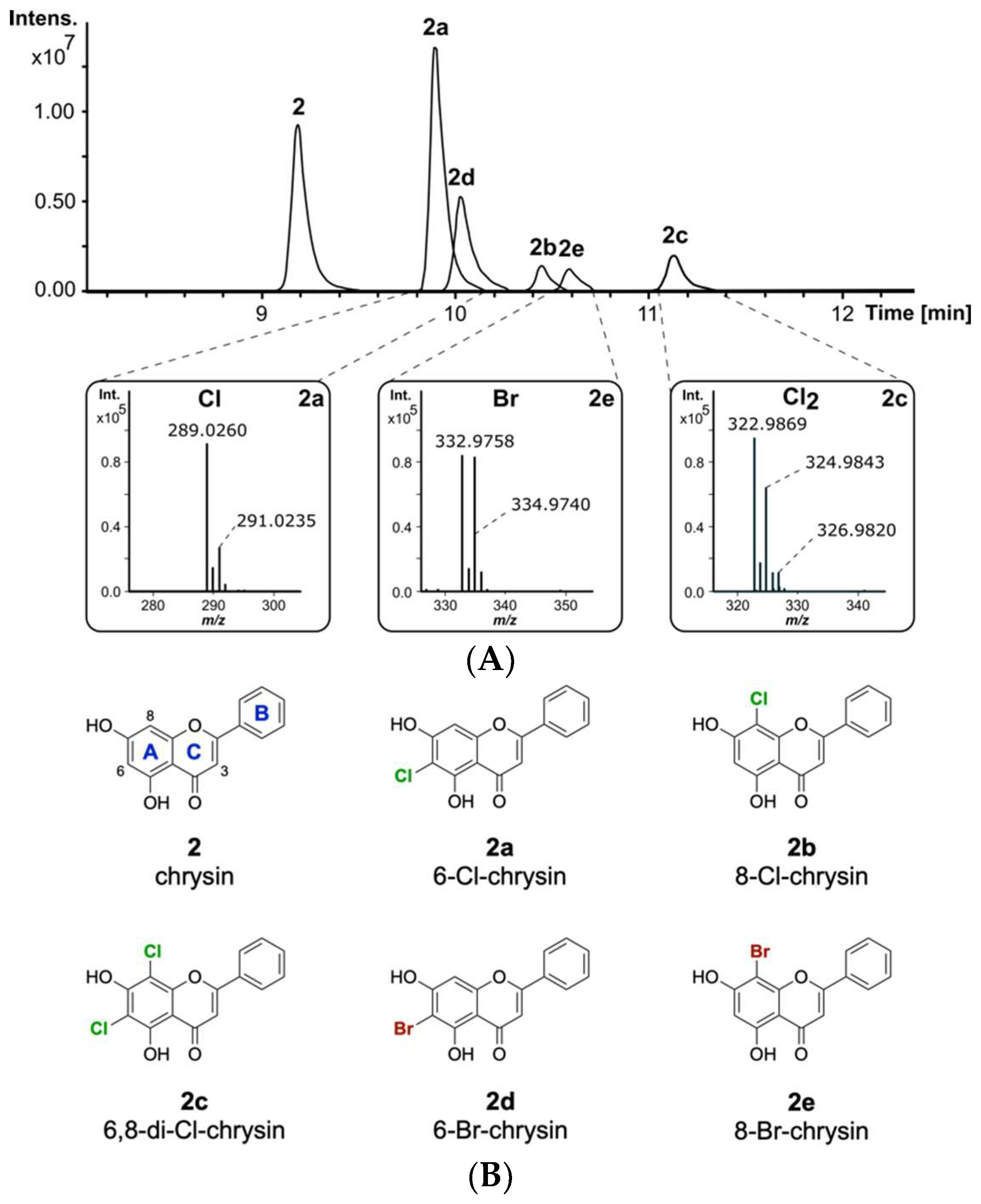 Molecules 26 06220 g002