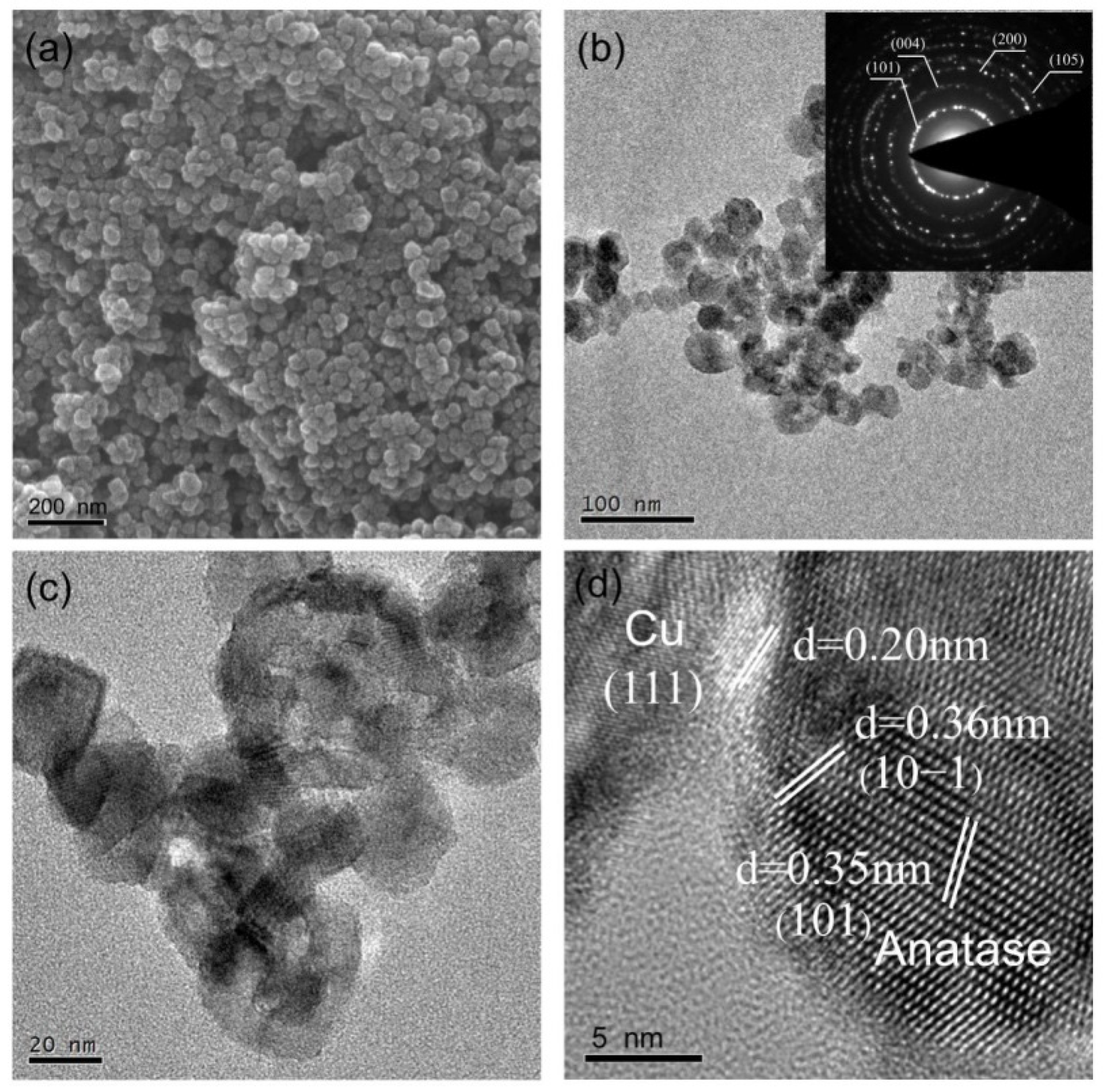 Molecules 26 06221 g003