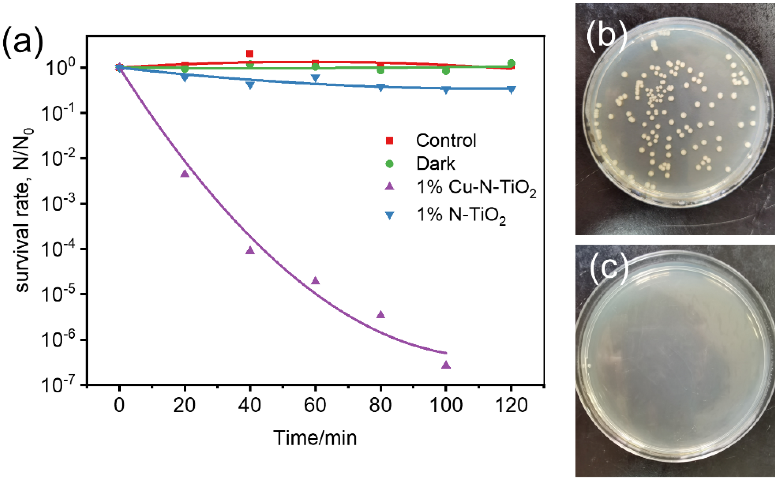 Molecules 26 06221 g007