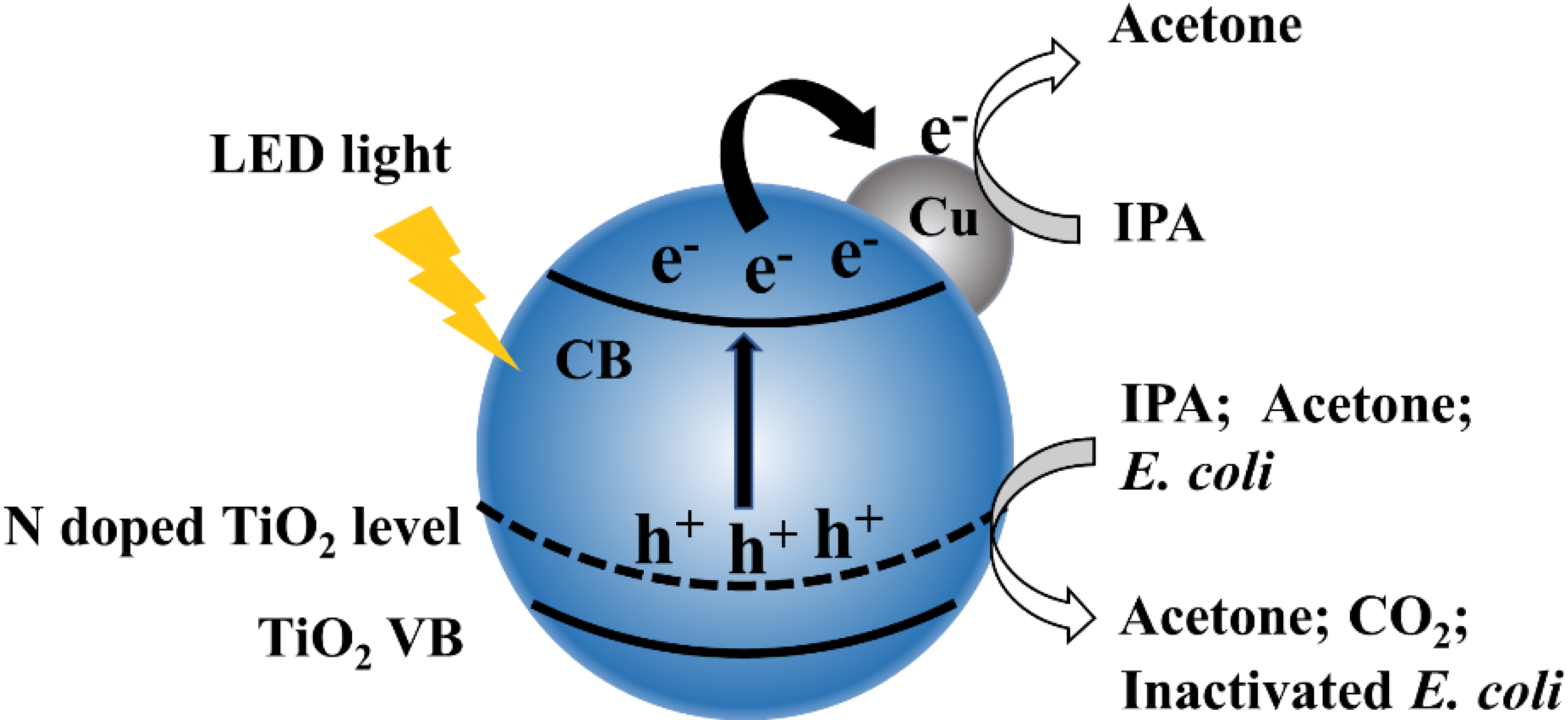Molecules 26 06221 g008