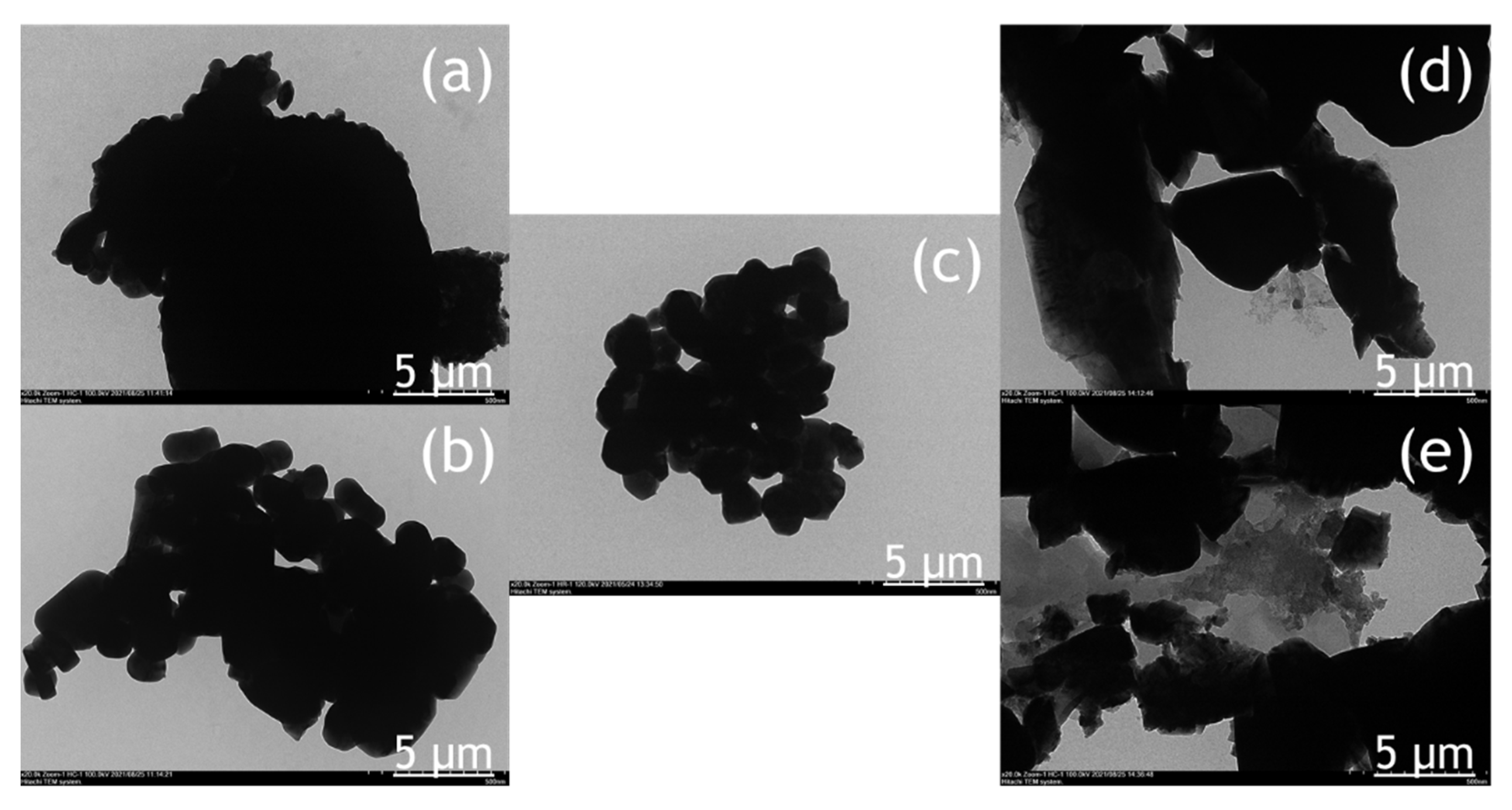 Molecules 26 06225 g005