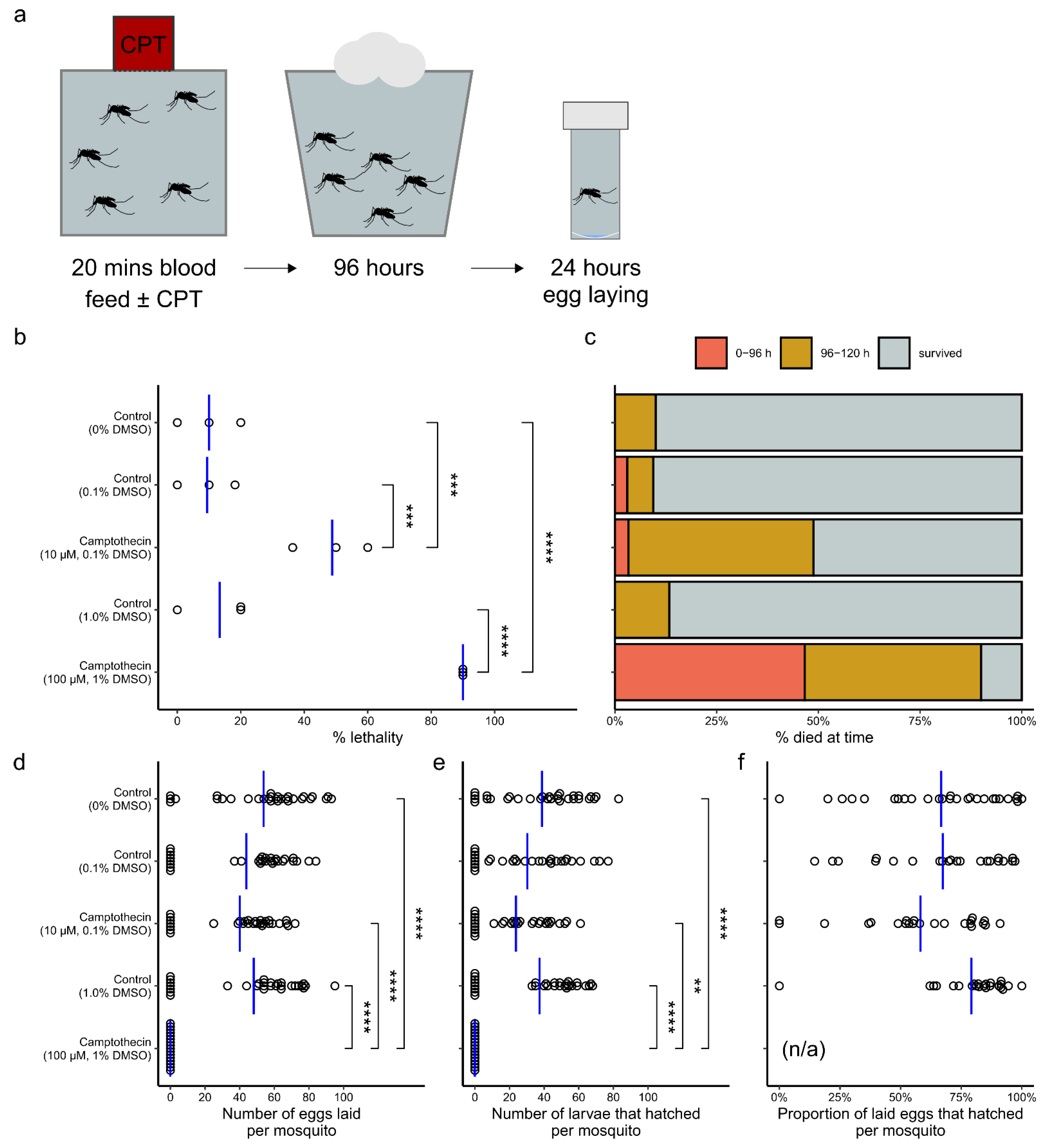 Molecules 26 06226 g004 Molecules 26 06226 g004