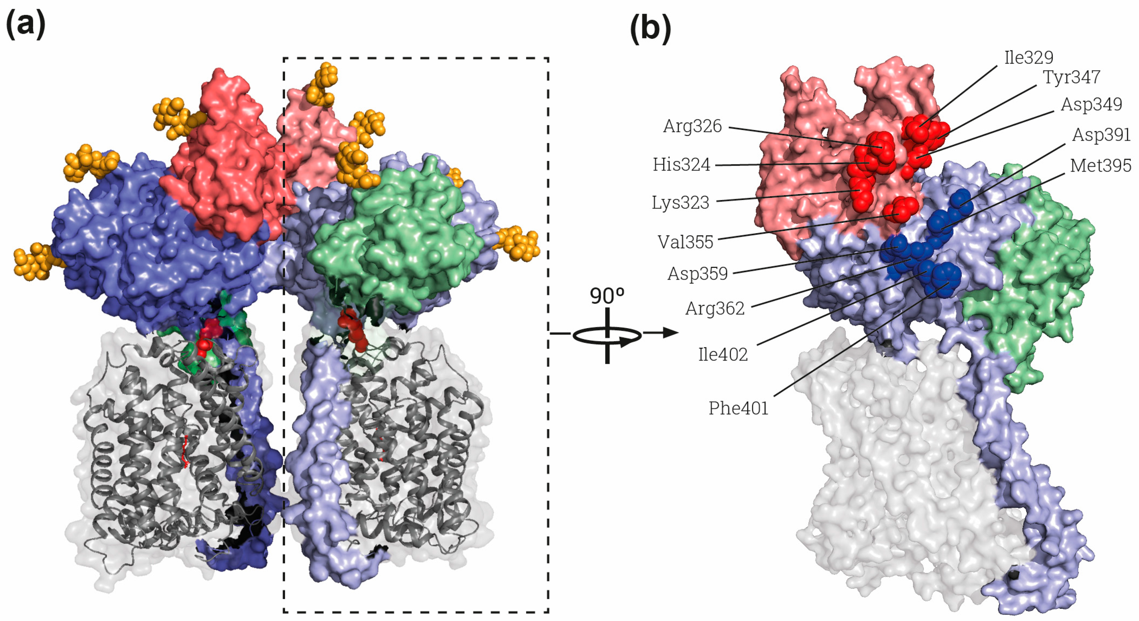Molecules 26 06231 g002 Molecules 26 06231 g002