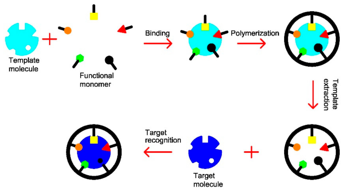 Molecules 26 06233 g001 Molecules 26 06233 g001