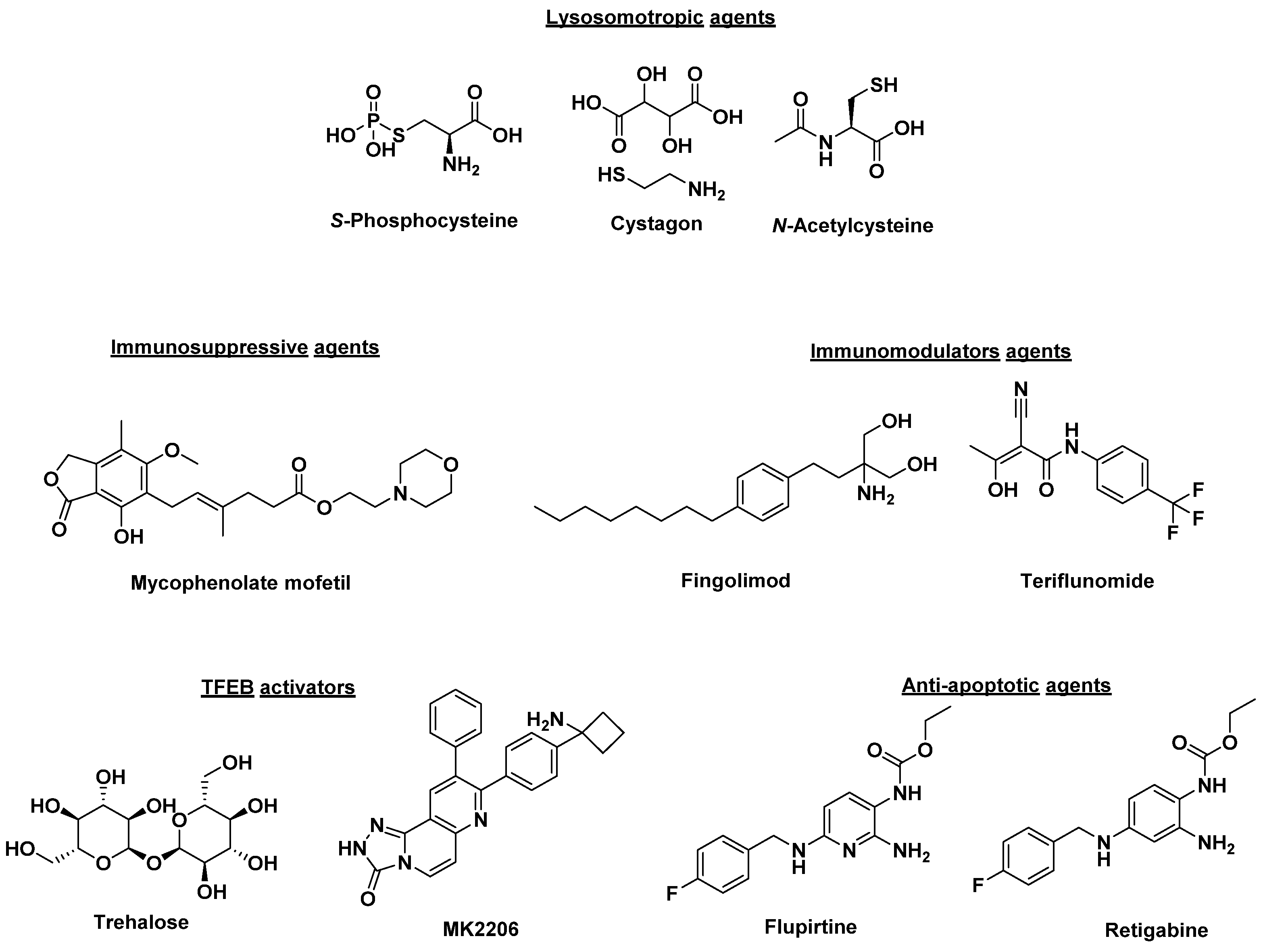 Molecules 26 06235 g001