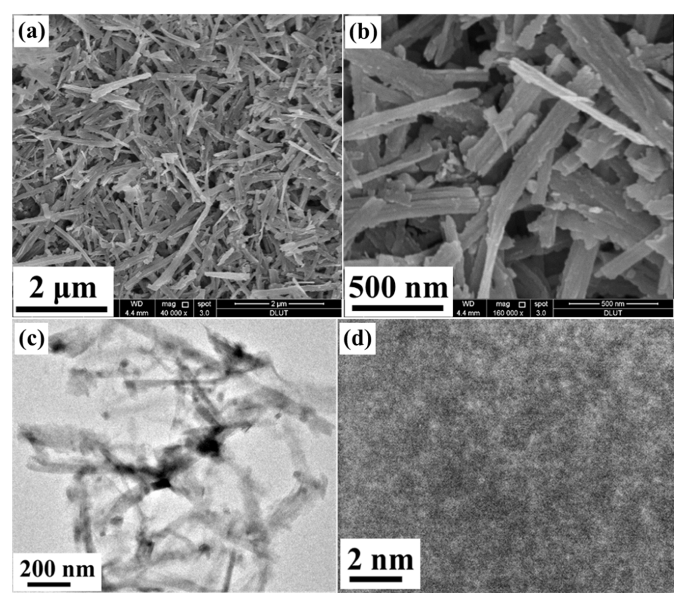 Molecules 26 06240 g003 Molecules 26 06240 g003