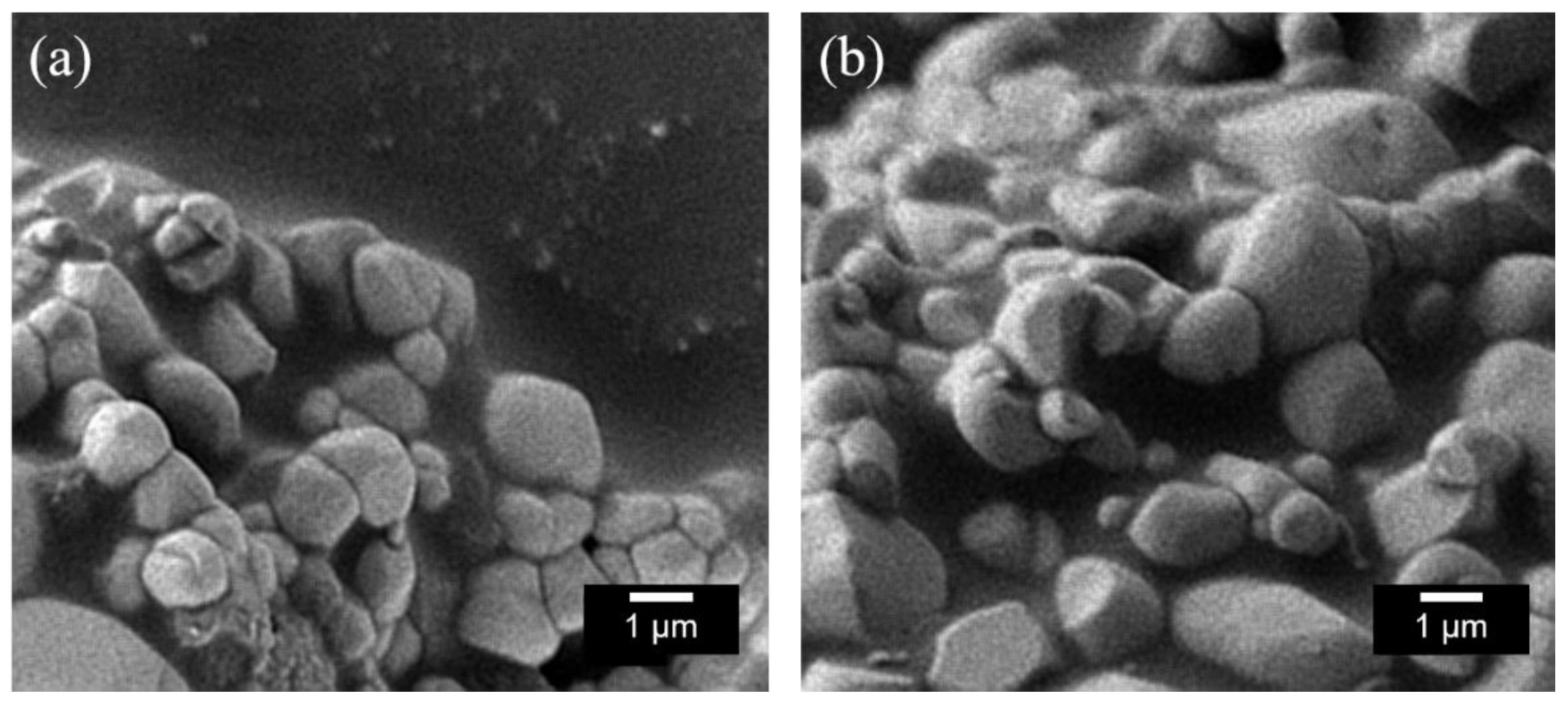 Molecules 26 06243 g003