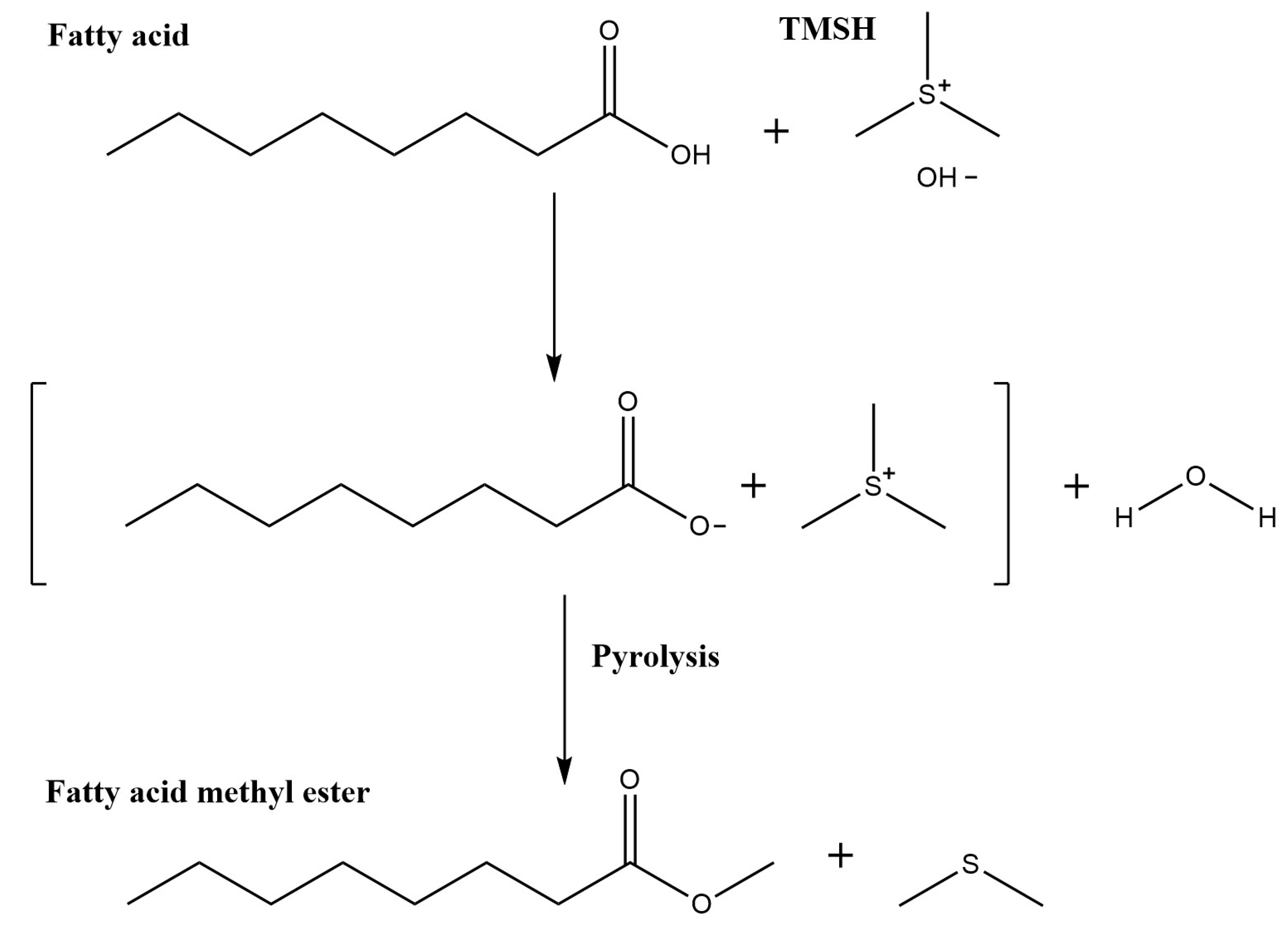 Molecules 26 06246 g002