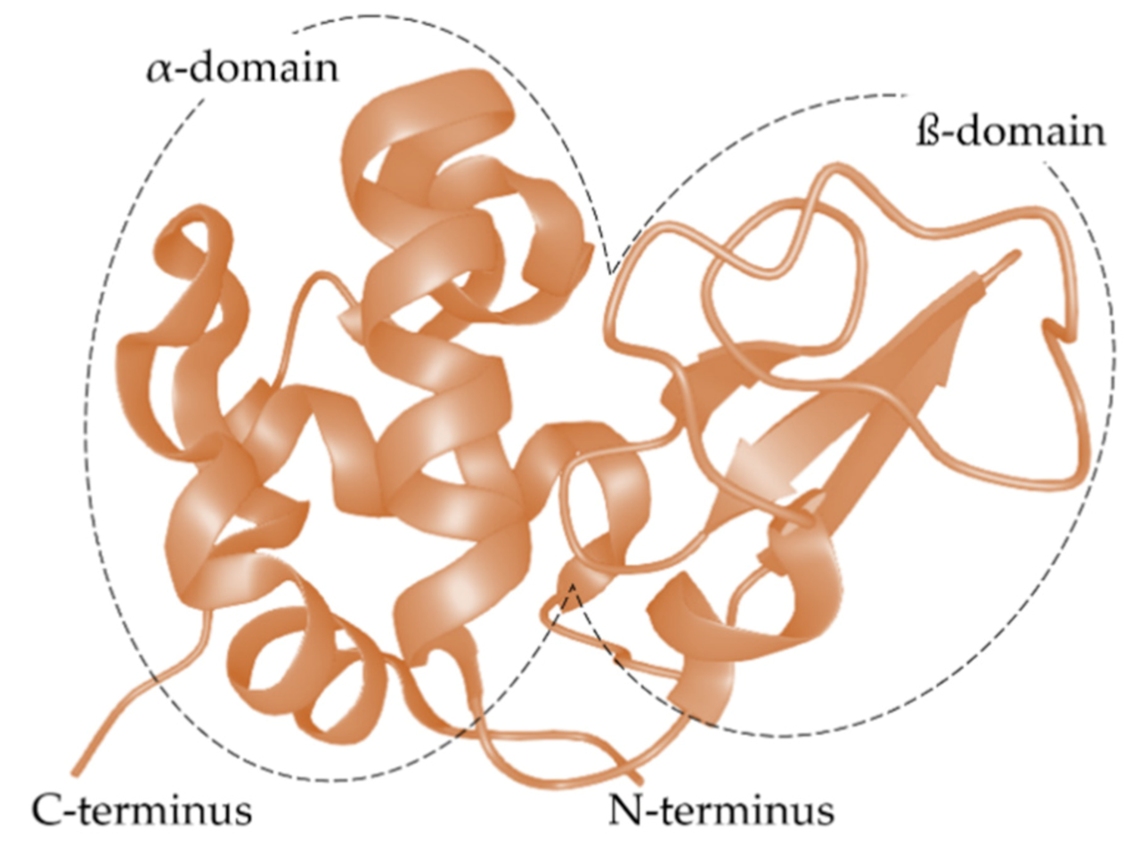 Molecules 26 06247 g002