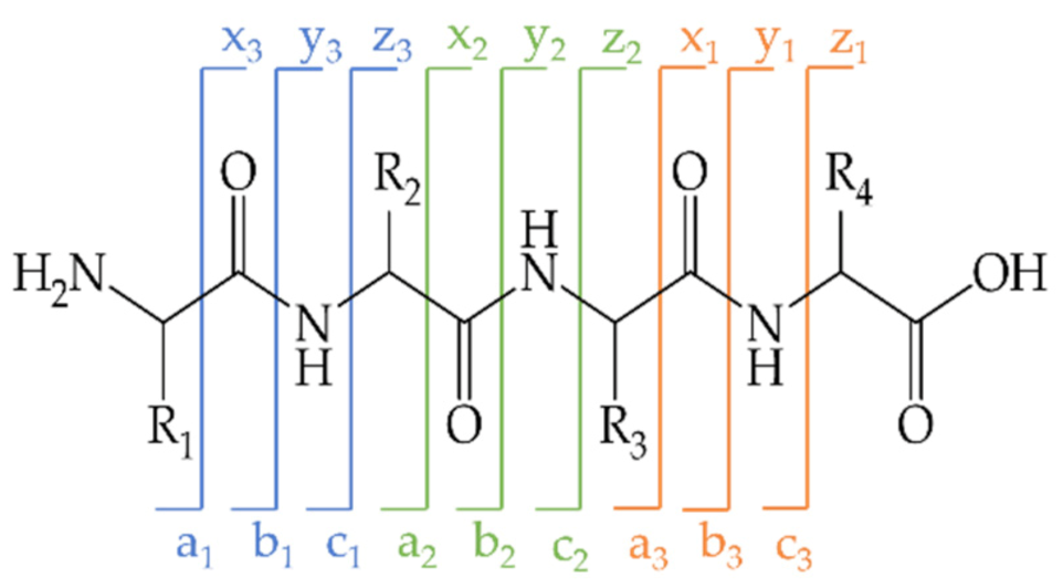 Molecules 26 06247 g008