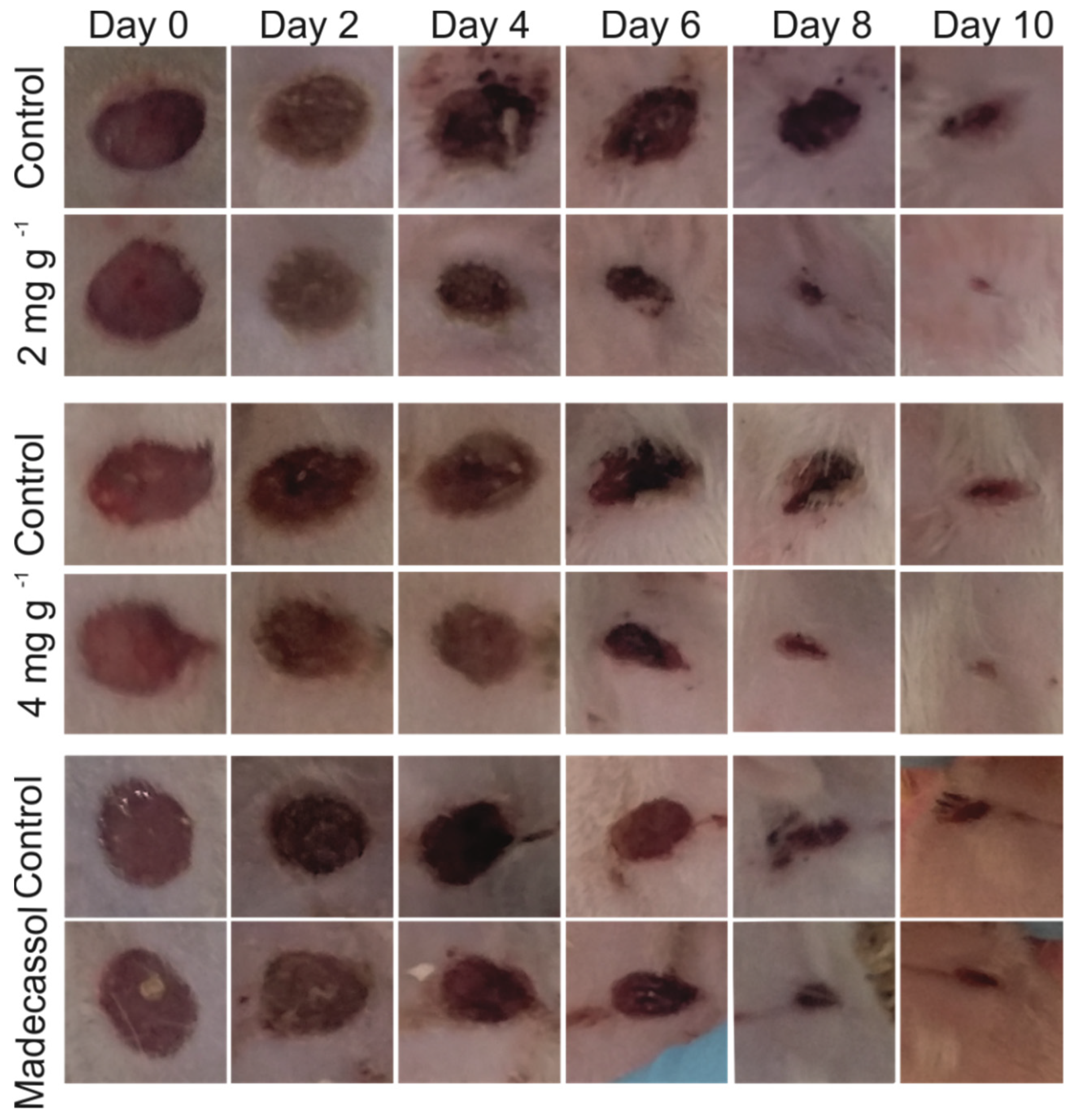 Molecules 26 06248 g005