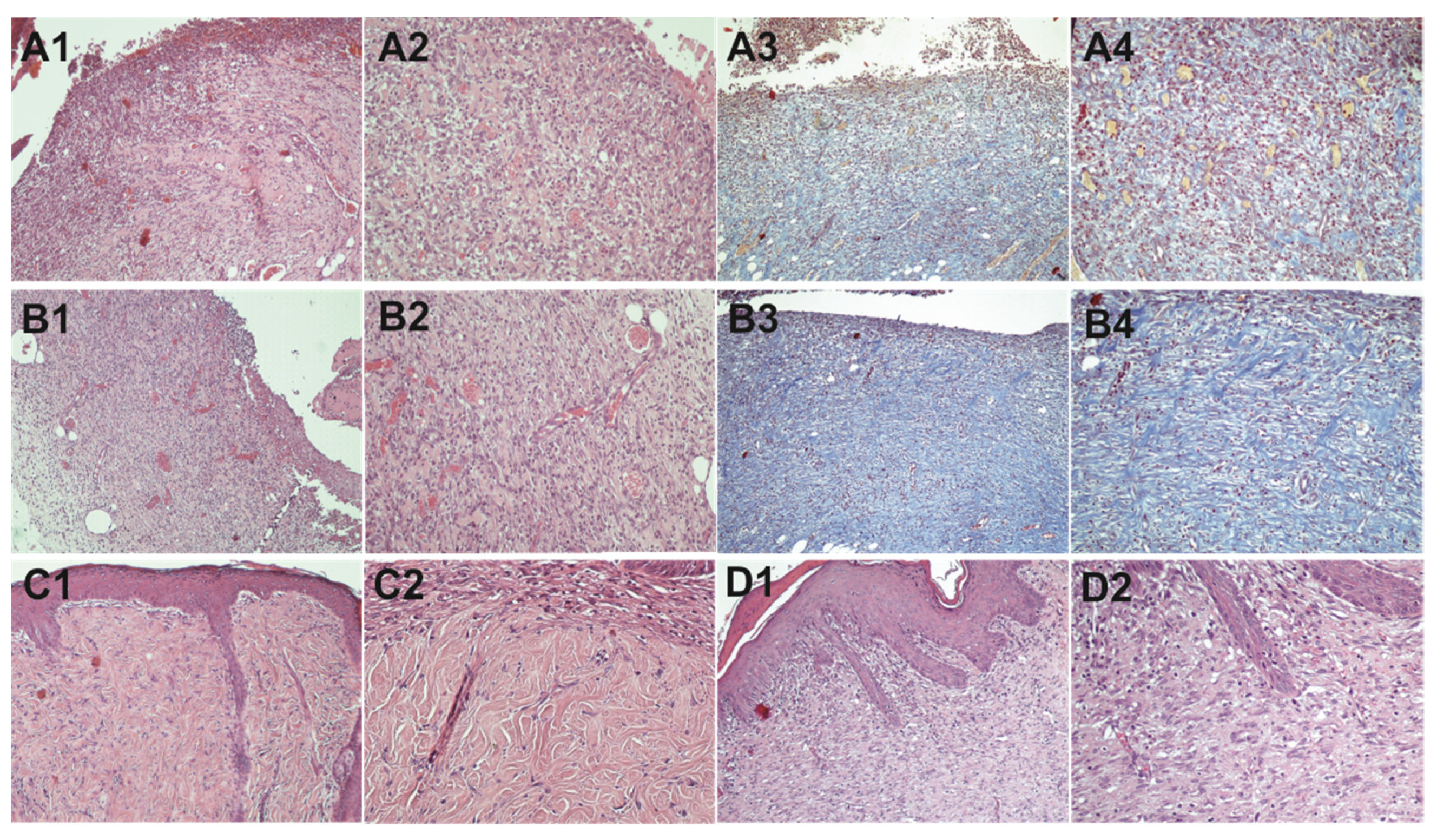 Molecules 26 06248 g007