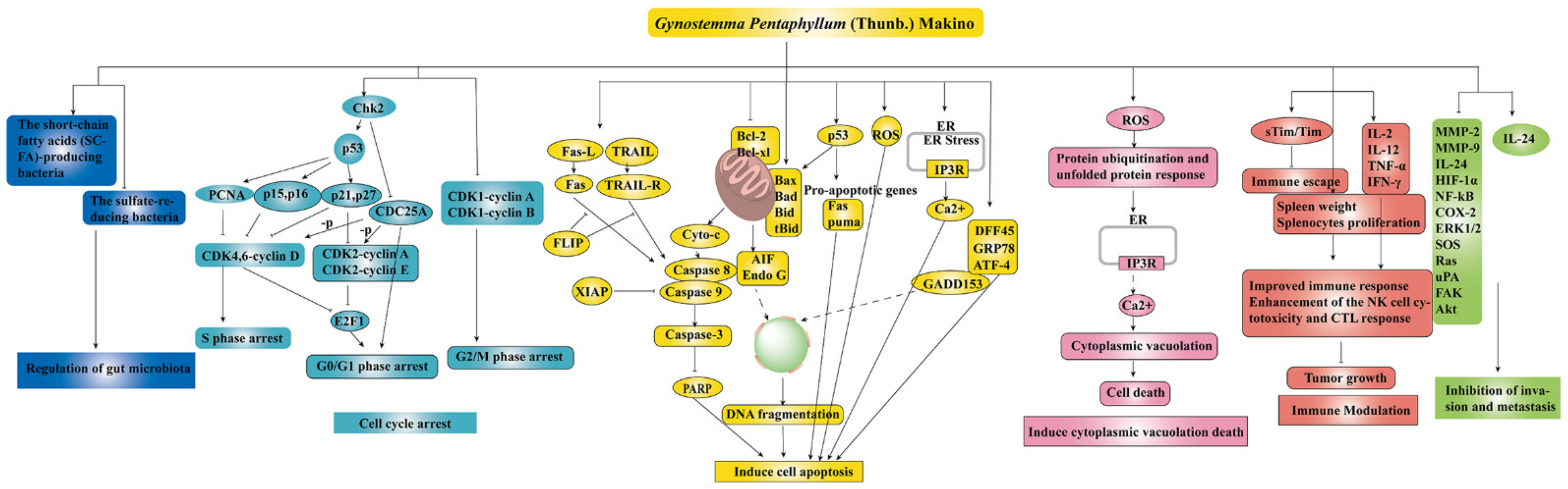 Molecules 26 06249 g004