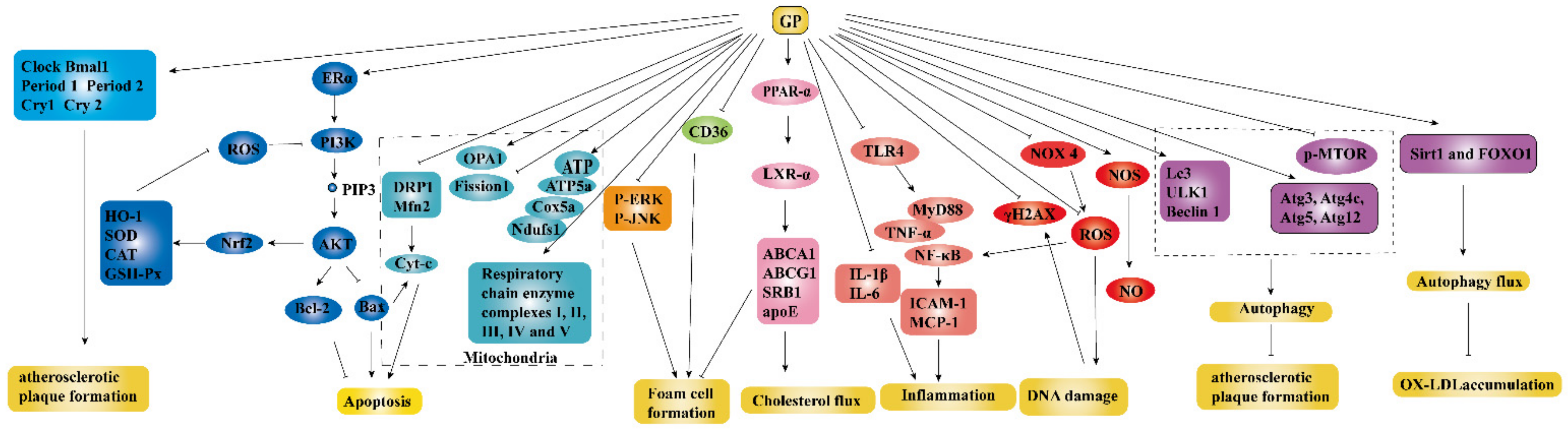 Molecules 26 06249 g006