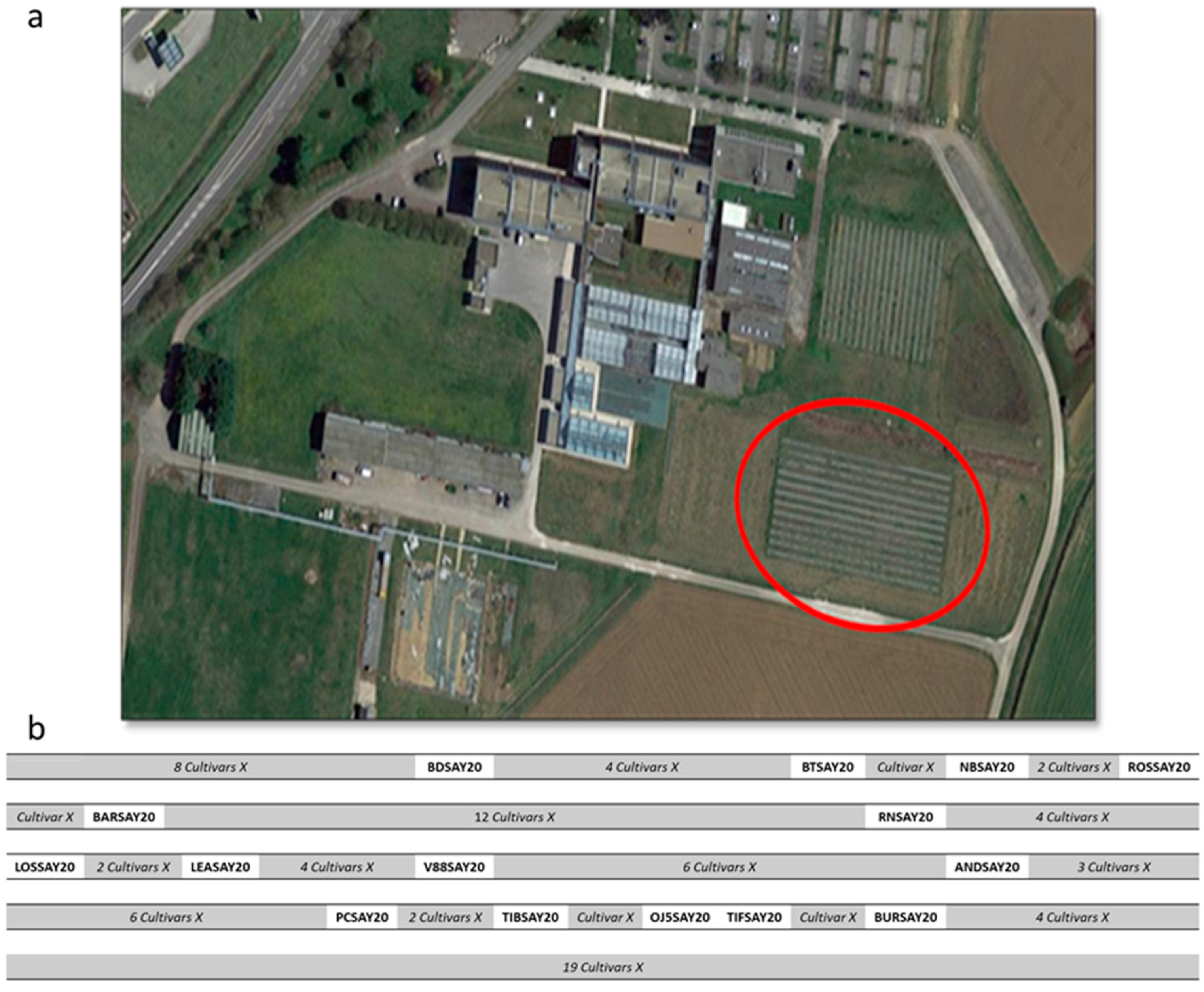 Molecules 26 06254 g005