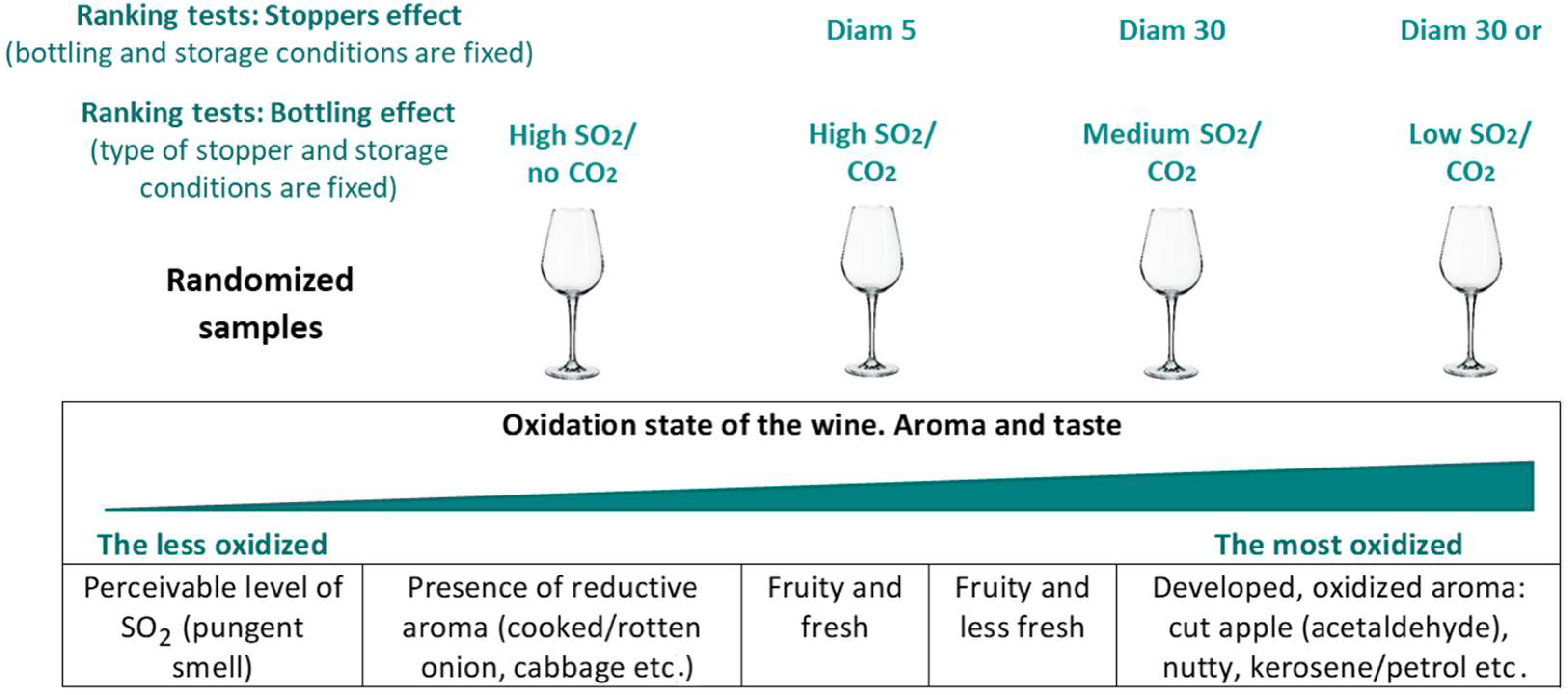 Molecules 26 06256 g002