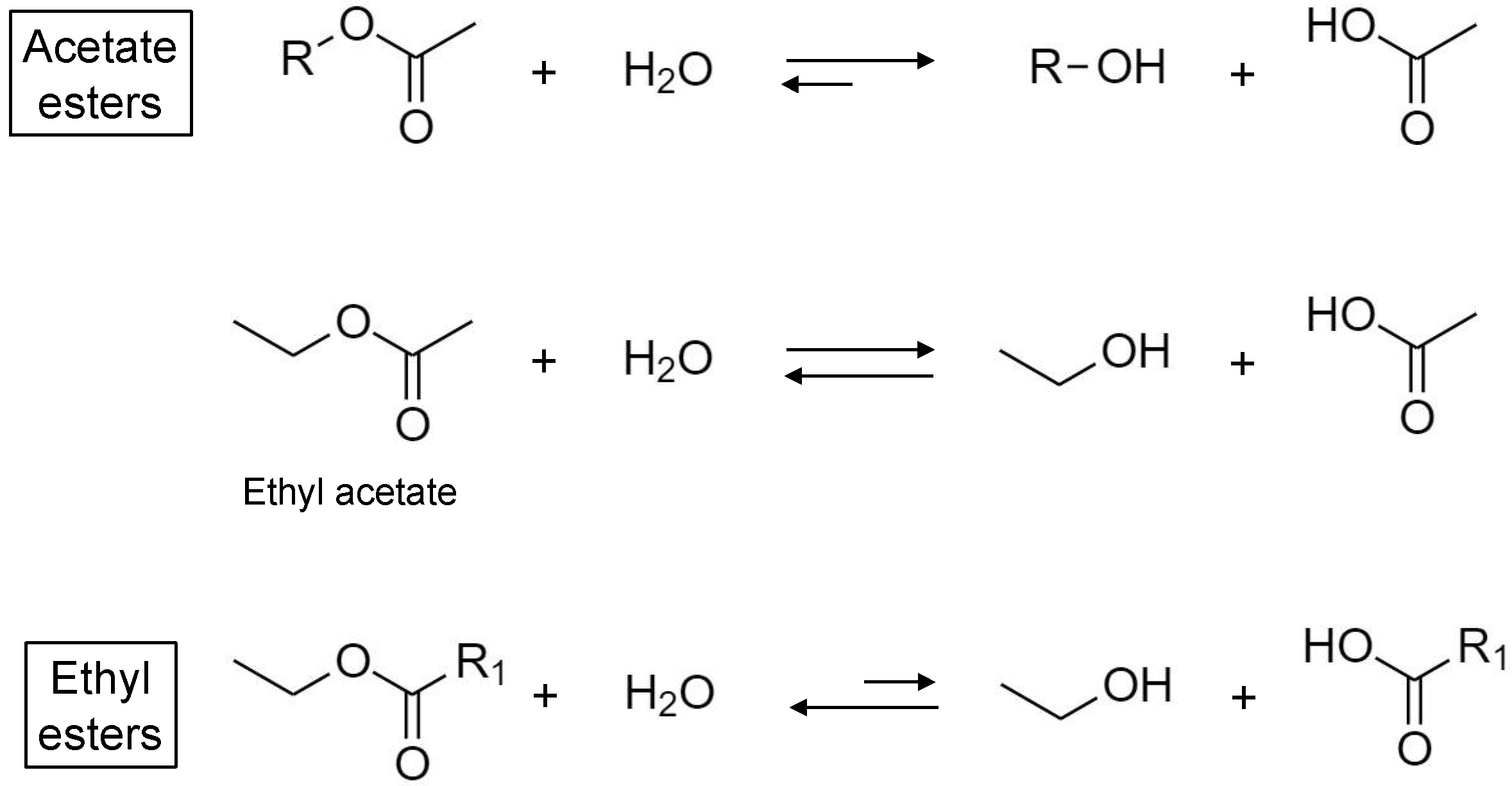 Molecules 26 06256 sch003