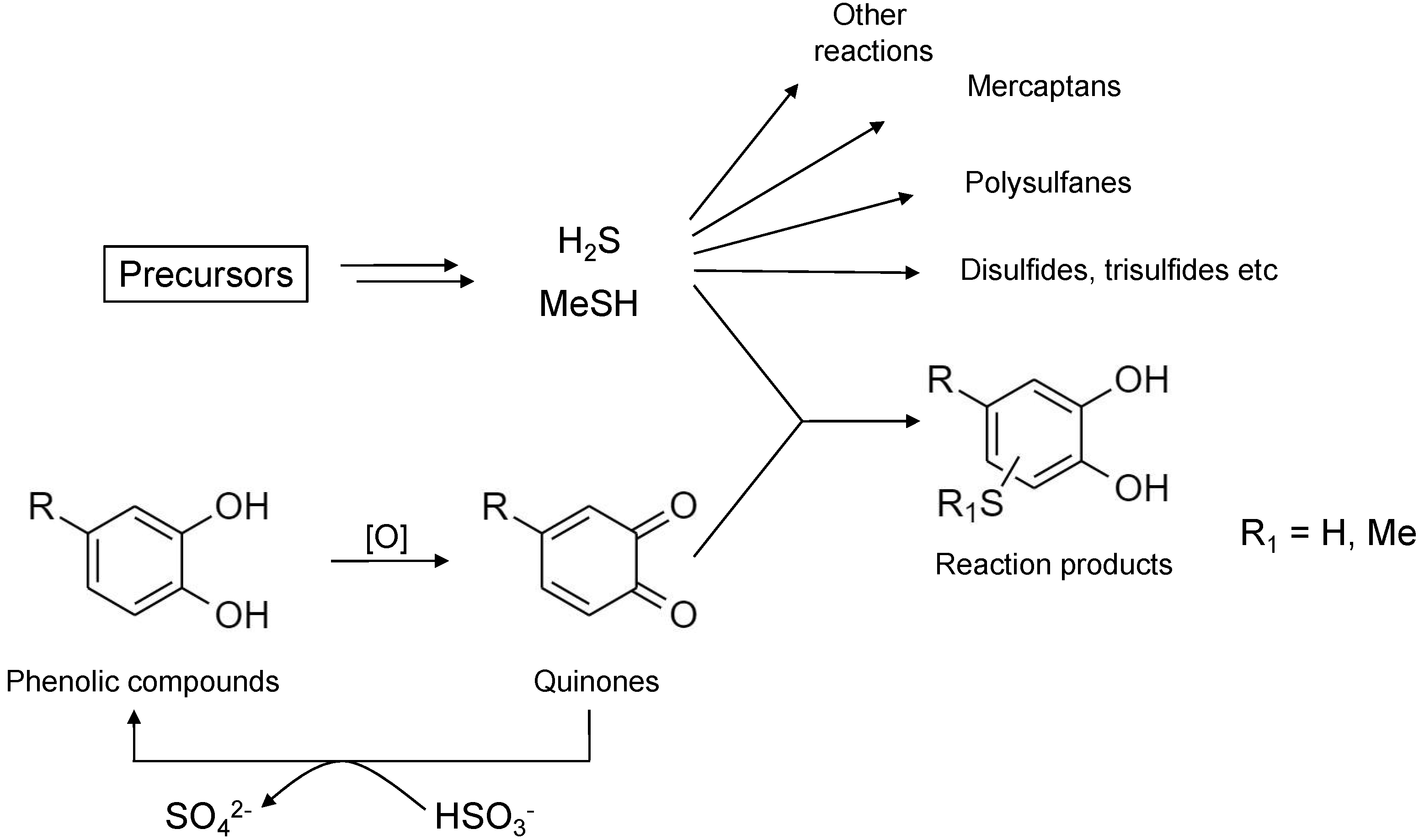 Molecules 26 06256 sch004