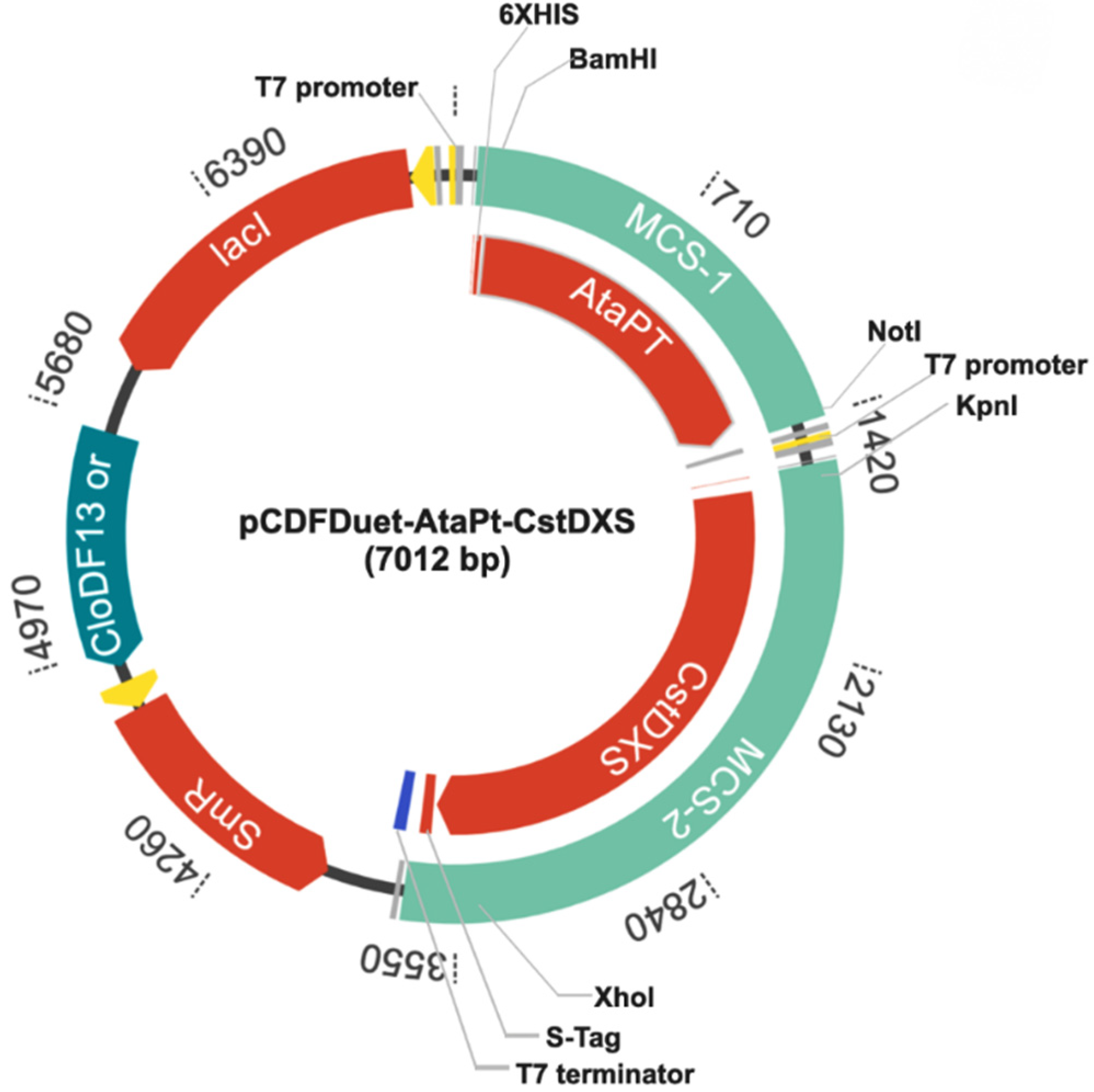 Molecules 26 06264 g002
