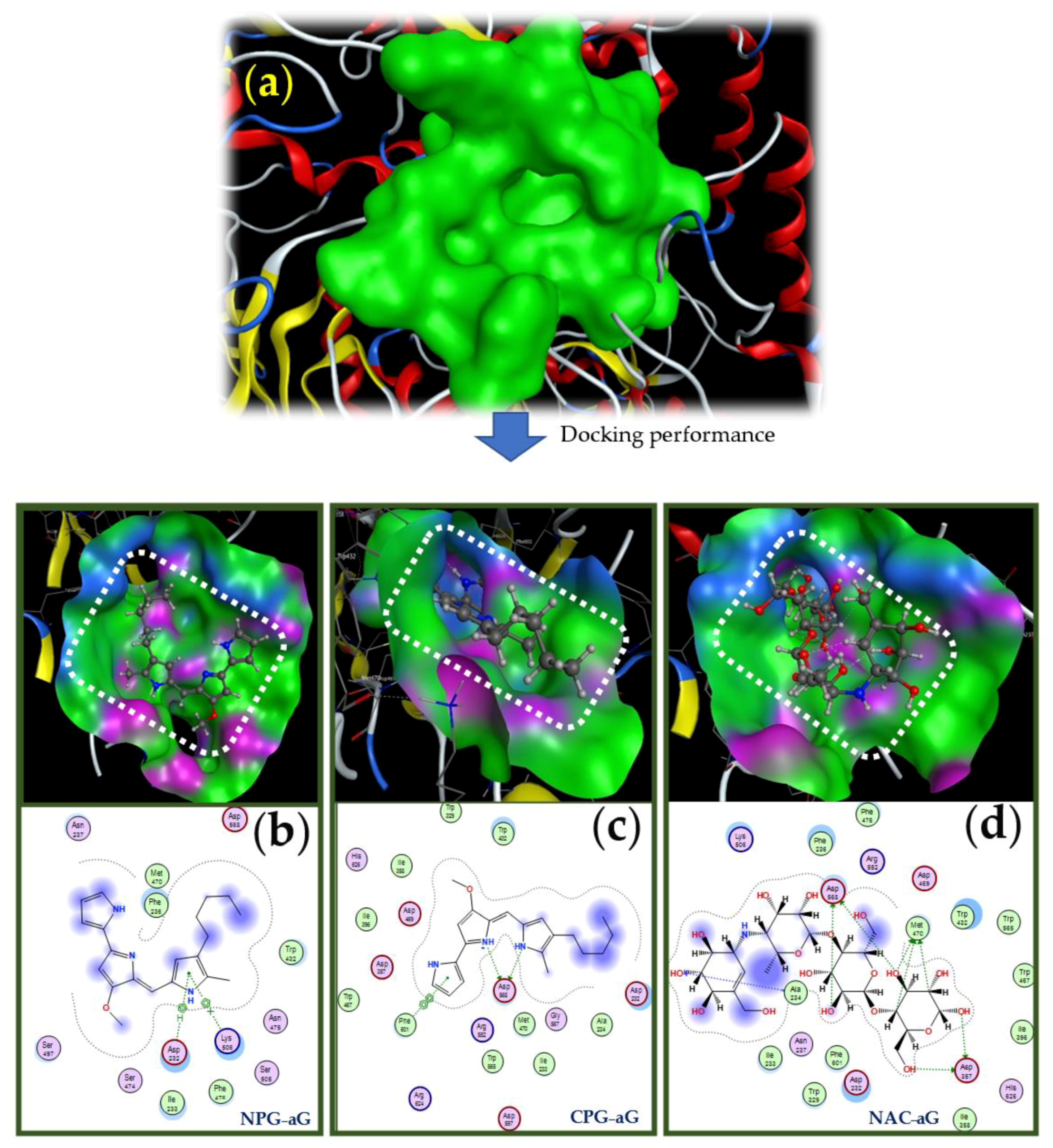 Molecules 26 06270 g008