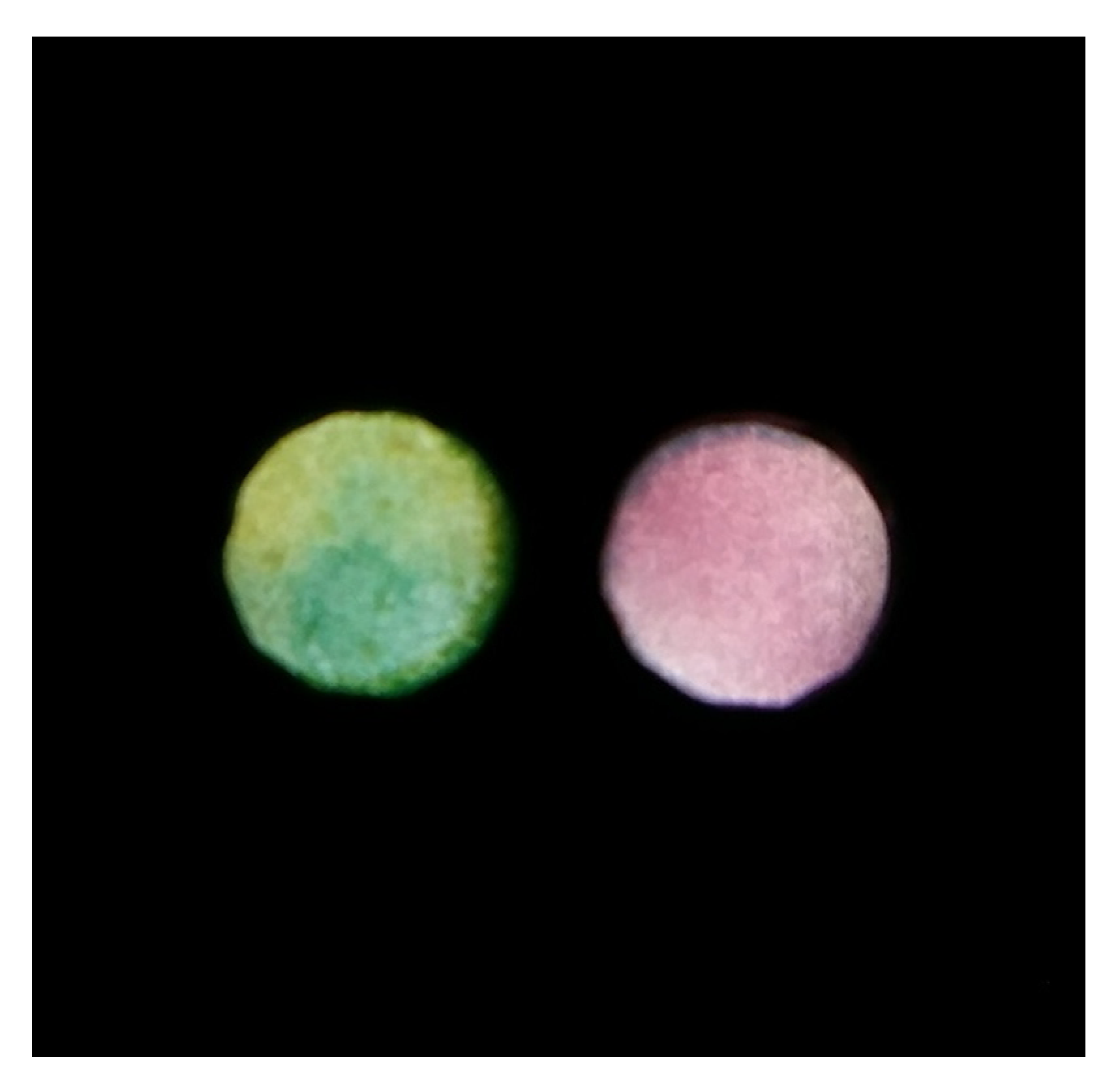 Molecules 26 06282 g004