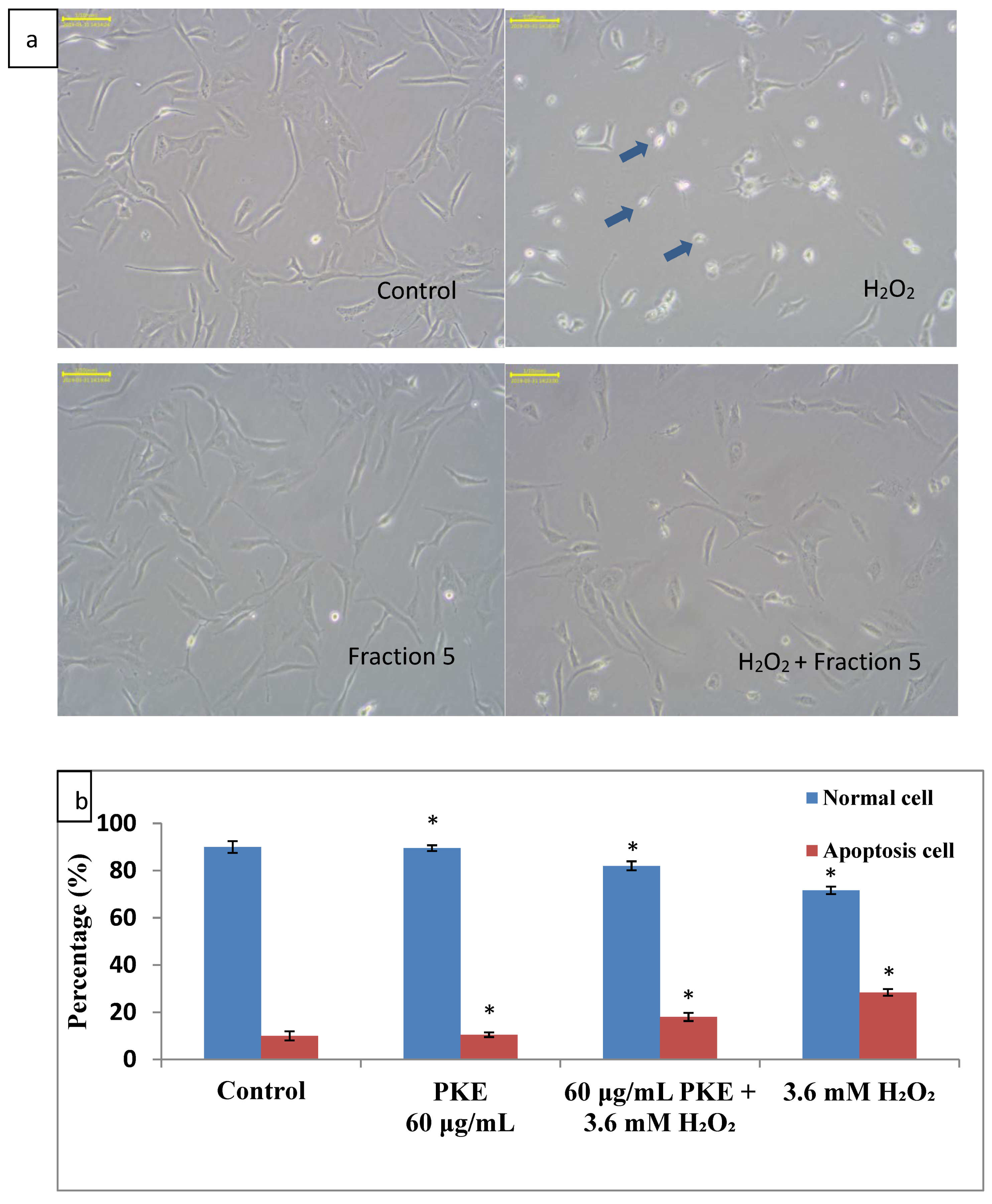 Molecules 26 06287 g004