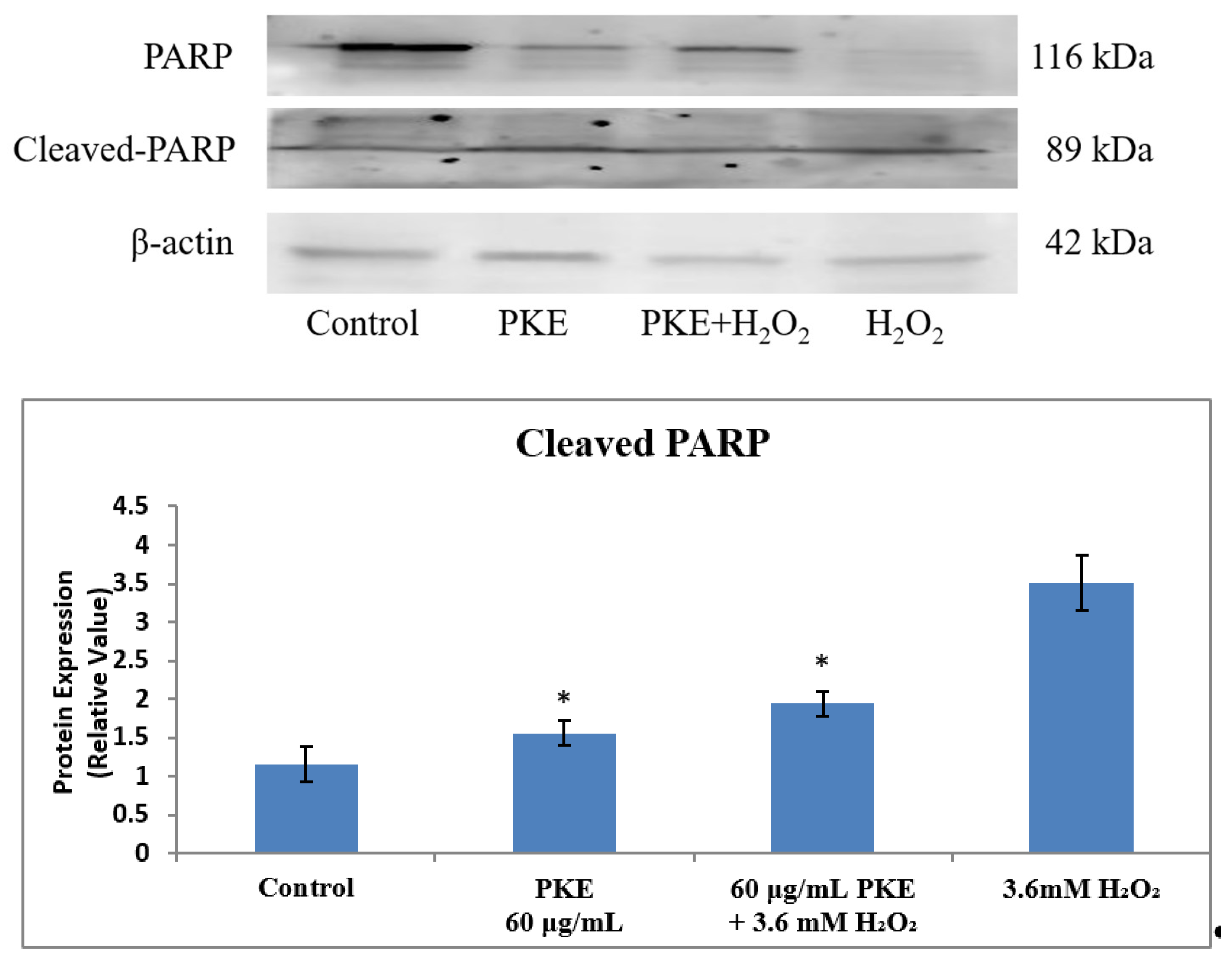 Molecules 26 06287 g007
