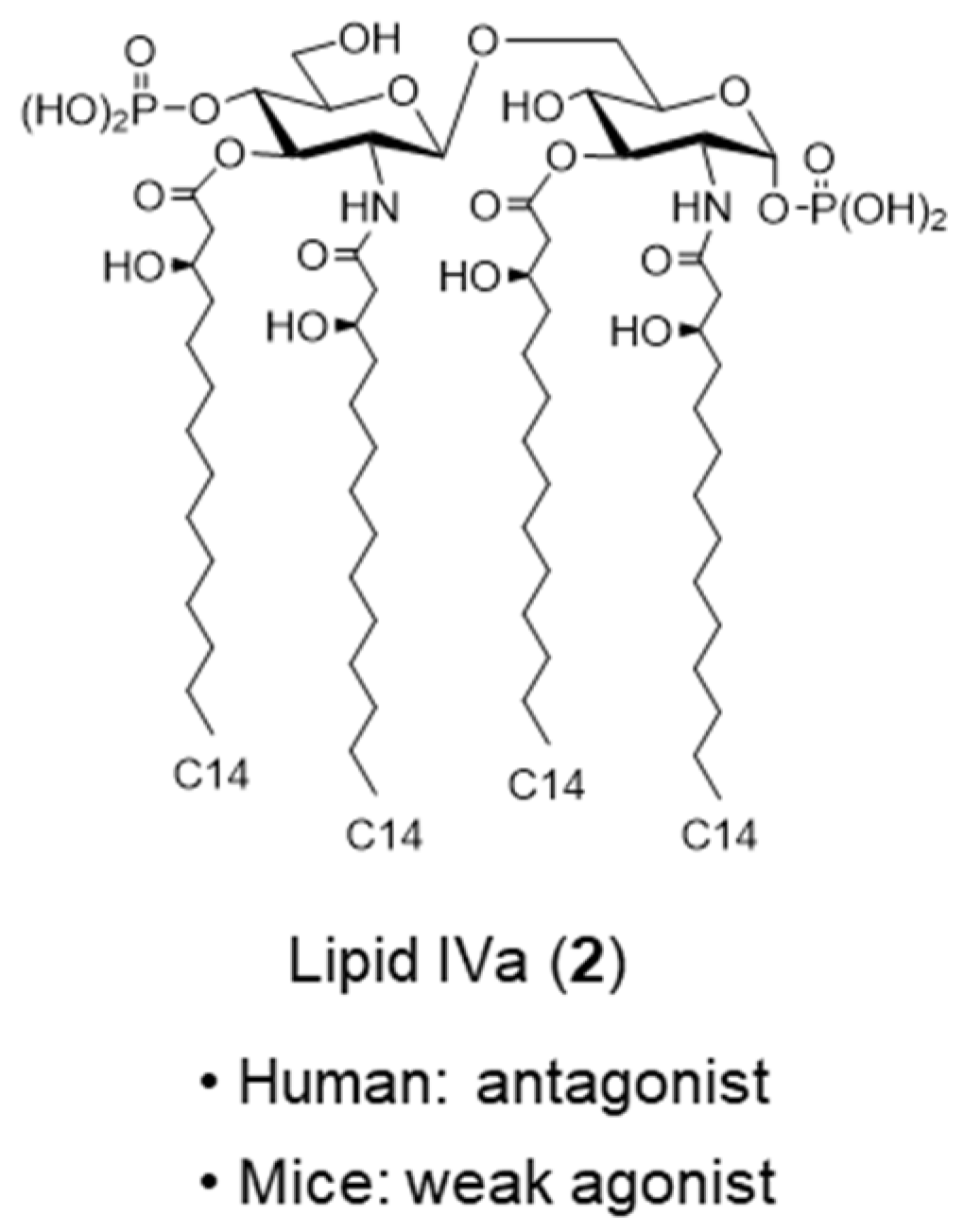 Molecules 26 06294 g003 Molecules 26 06294 g003