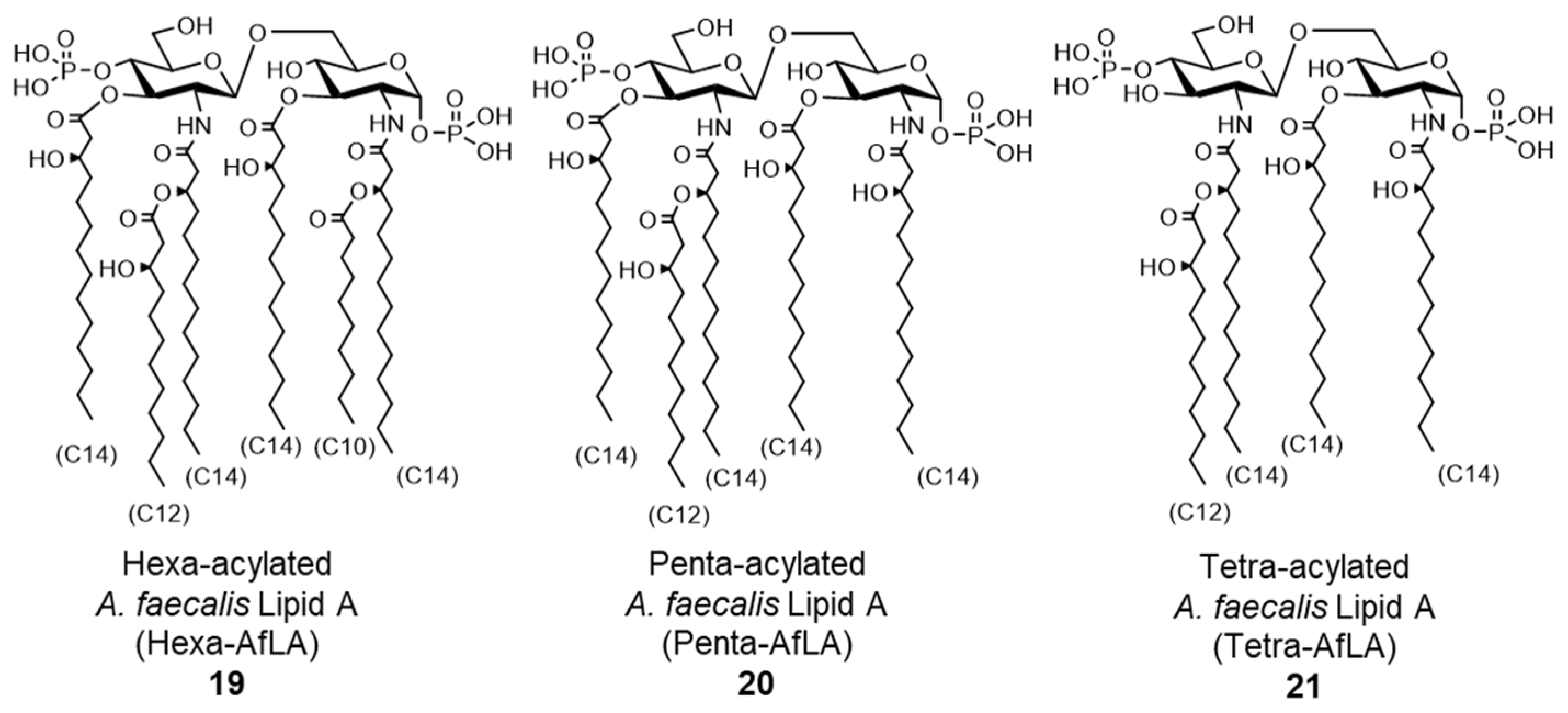 Molecules 26 06294 g009 Molecules 26 06294 g009