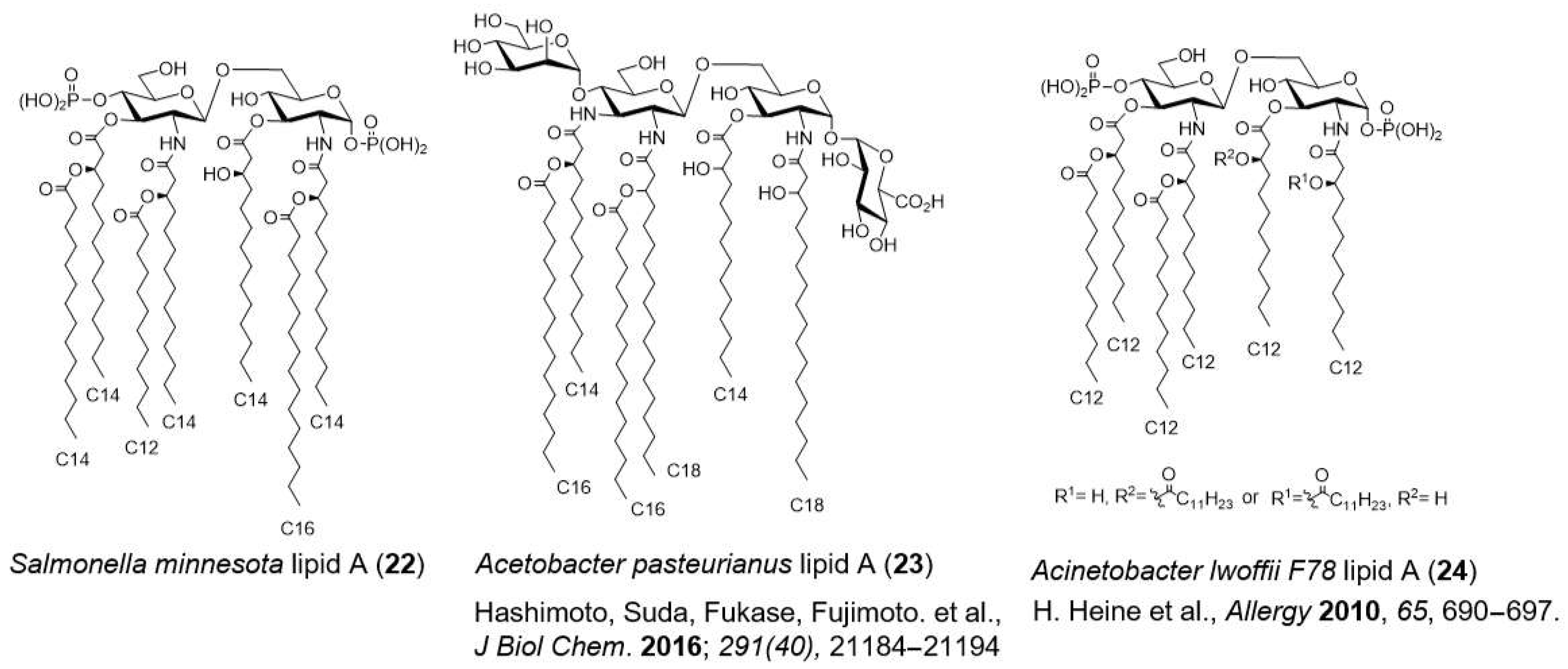 Molecules 26 06294 g010 Molecules 26 06294 g010