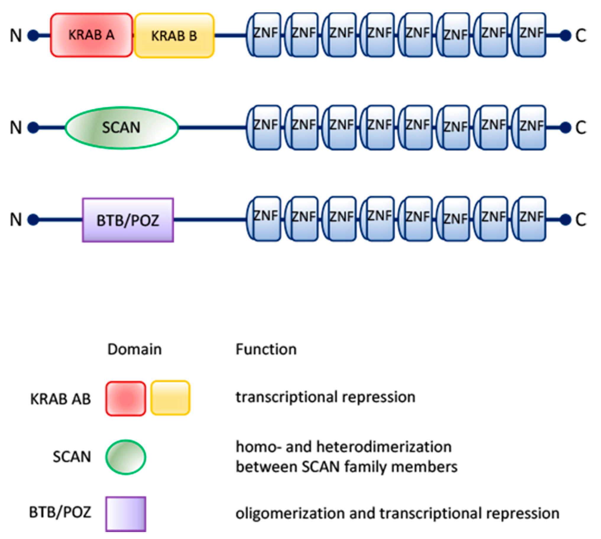 Molecules 26 06296 g001