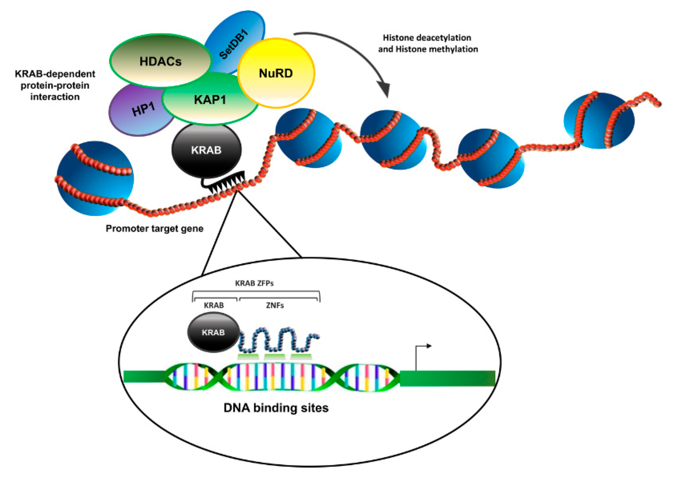 Molecules 26 06296 g002