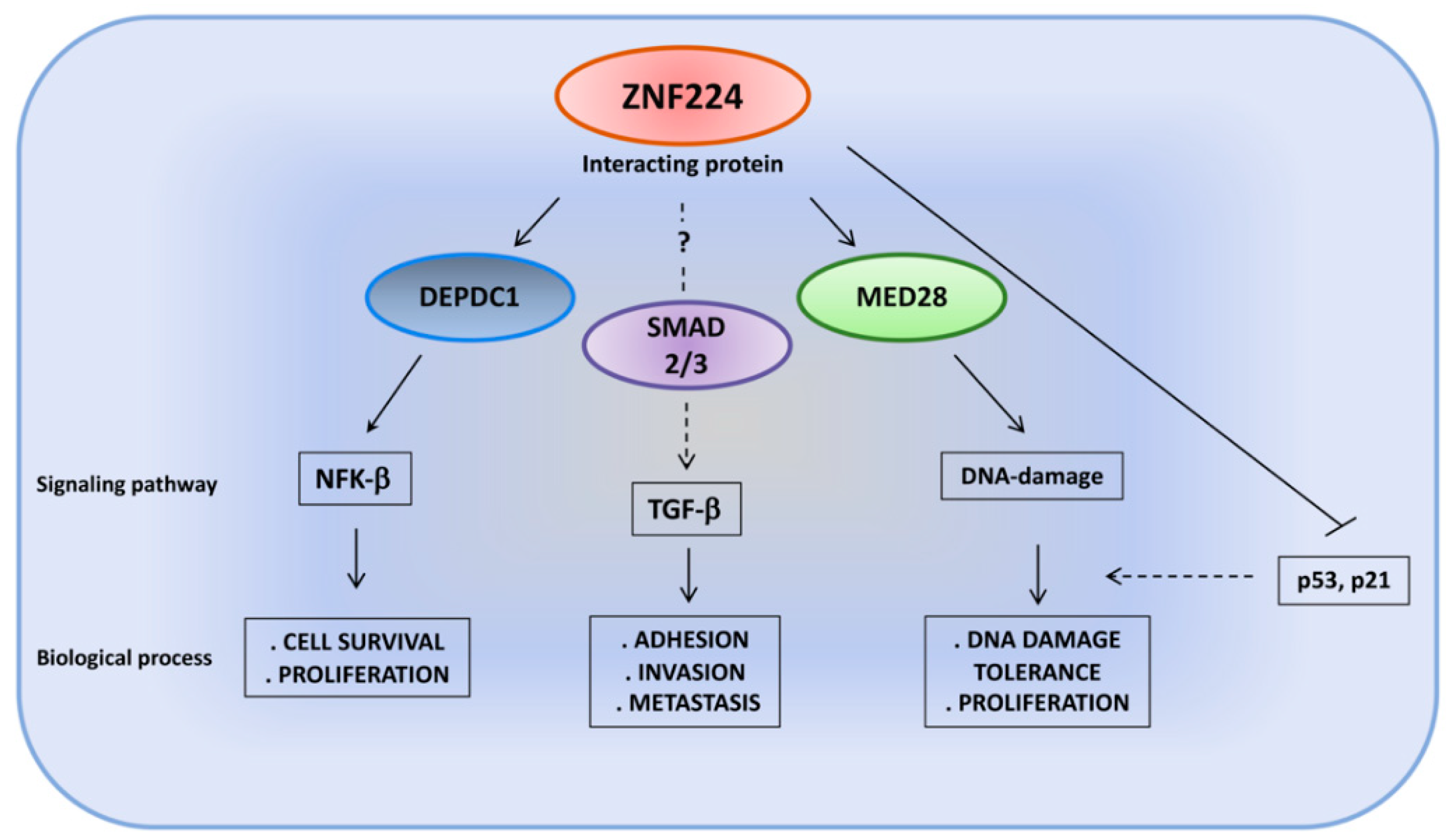 Molecules 26 06296 g005