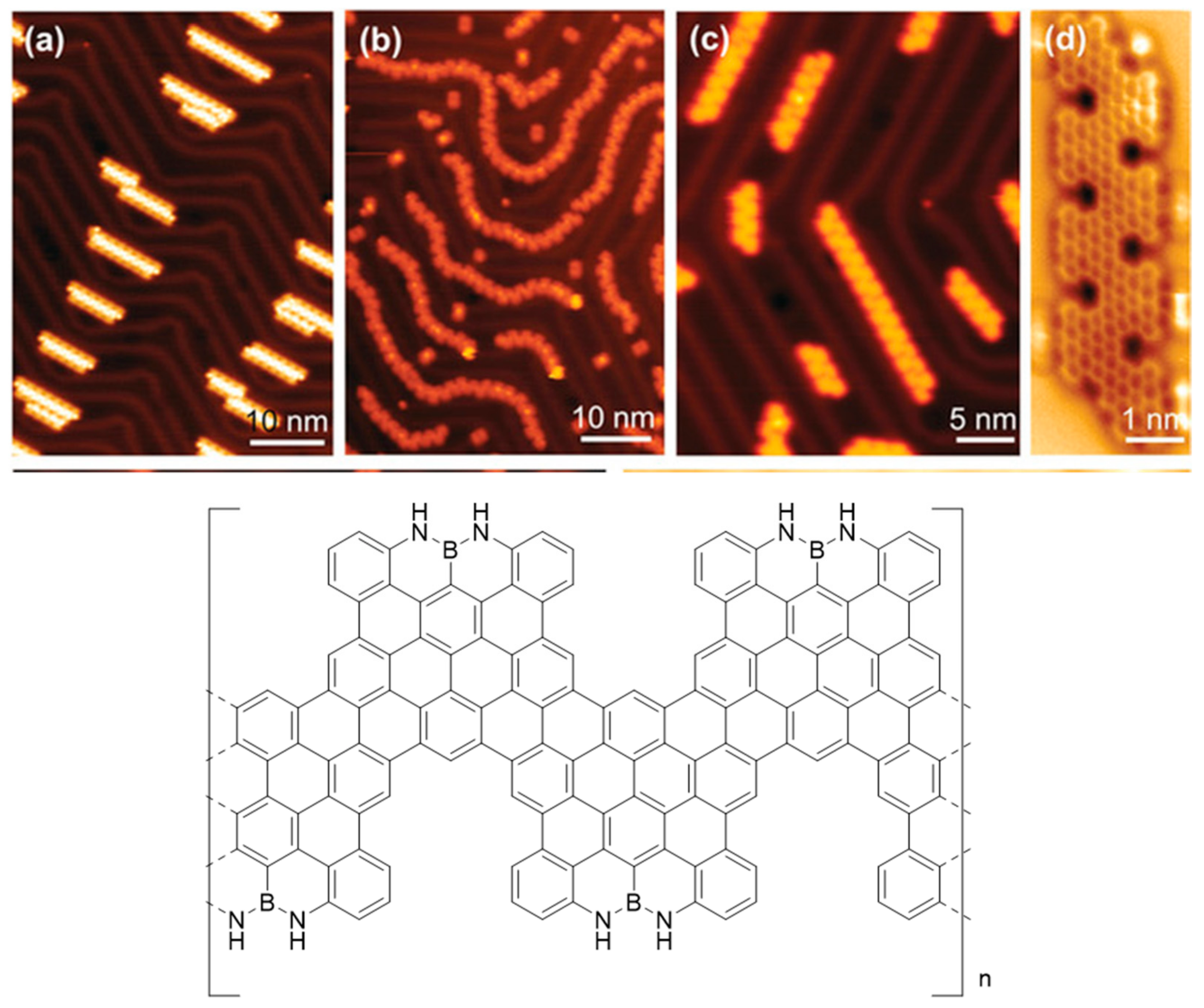Molecules 26 06306 g006