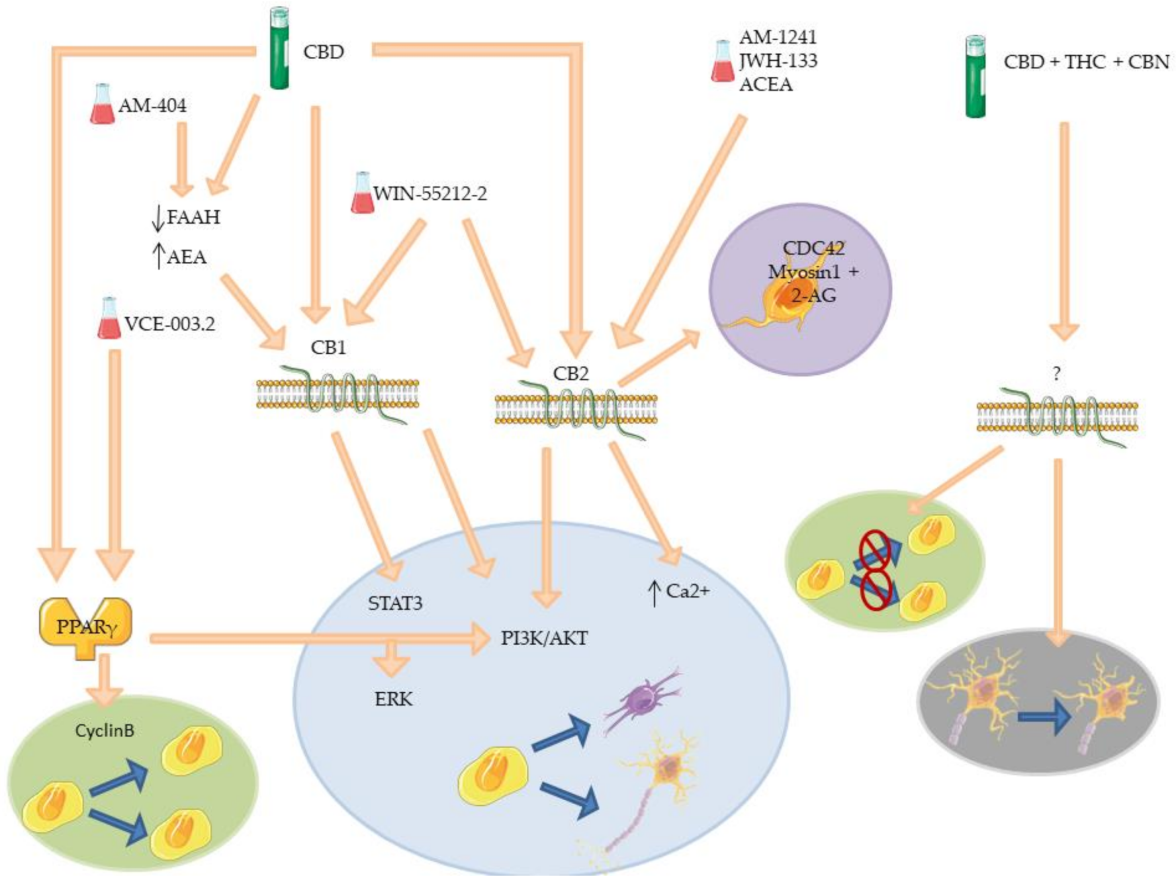Molecules 26 06313 g005