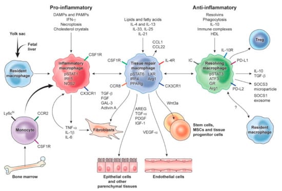 Molecules 26 06315 g003