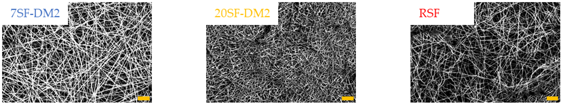 Molecules 26 06317 g005 Molecules 26 06317 g005
