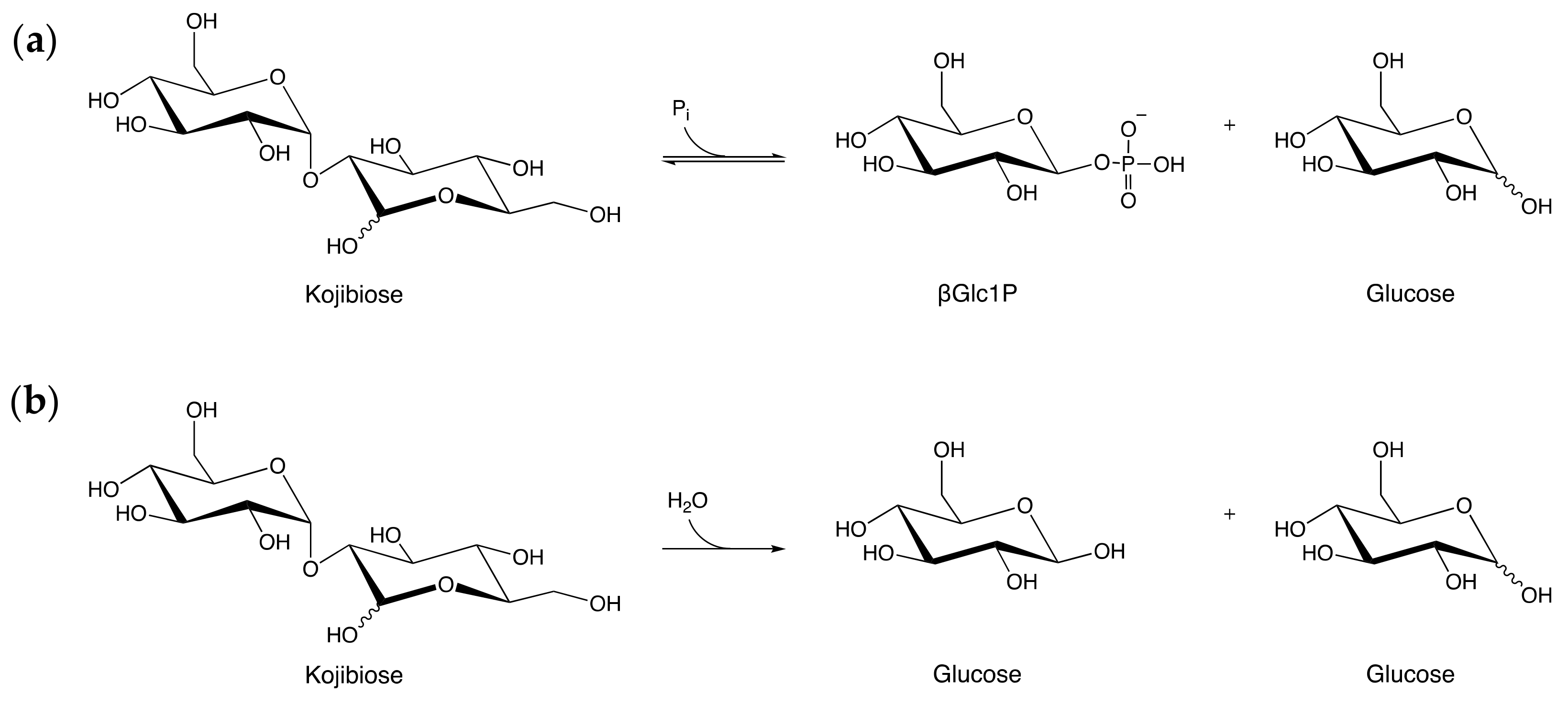 Molecules 26 06321 g001