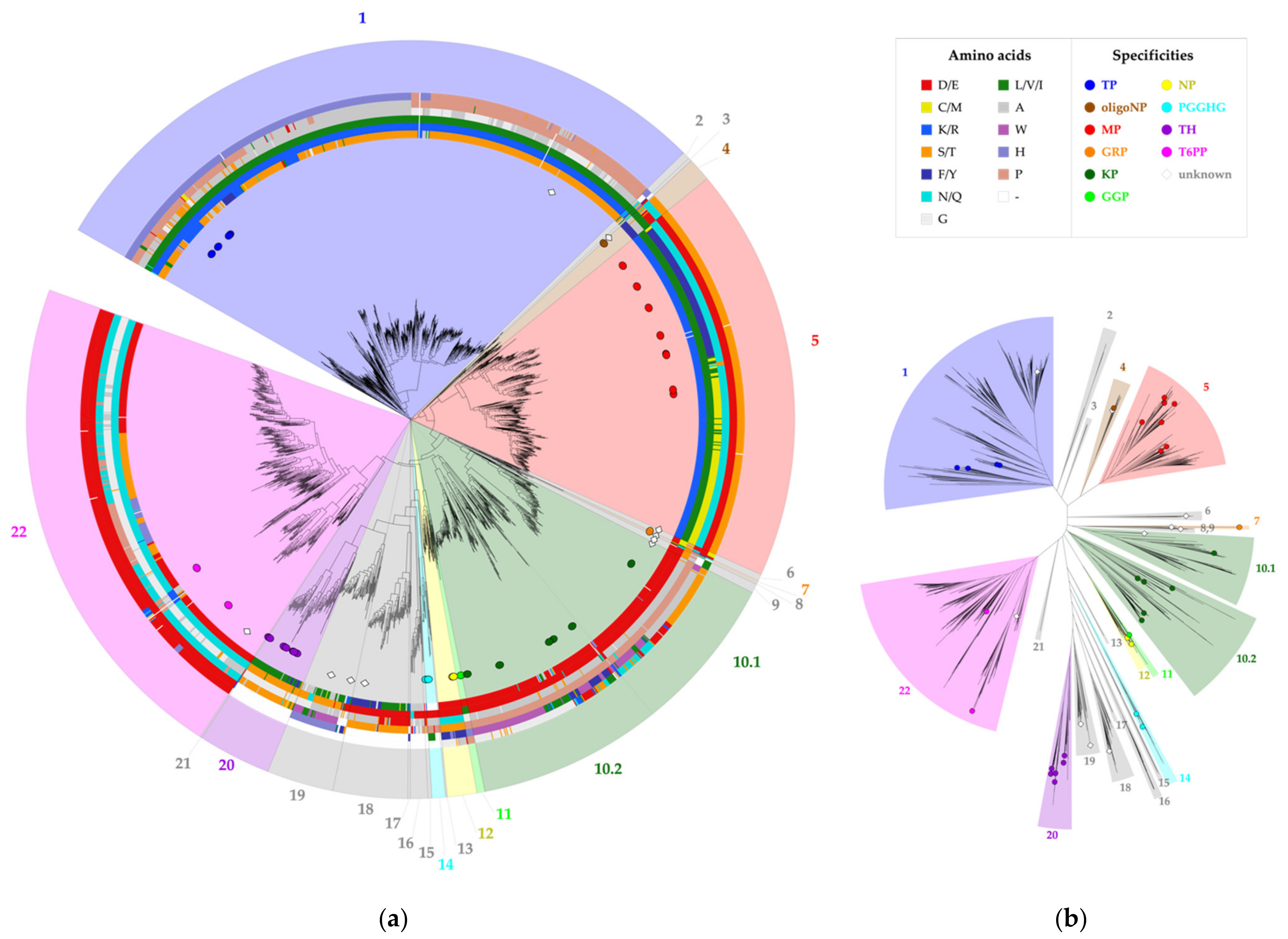 Molecules 26 06321 g003