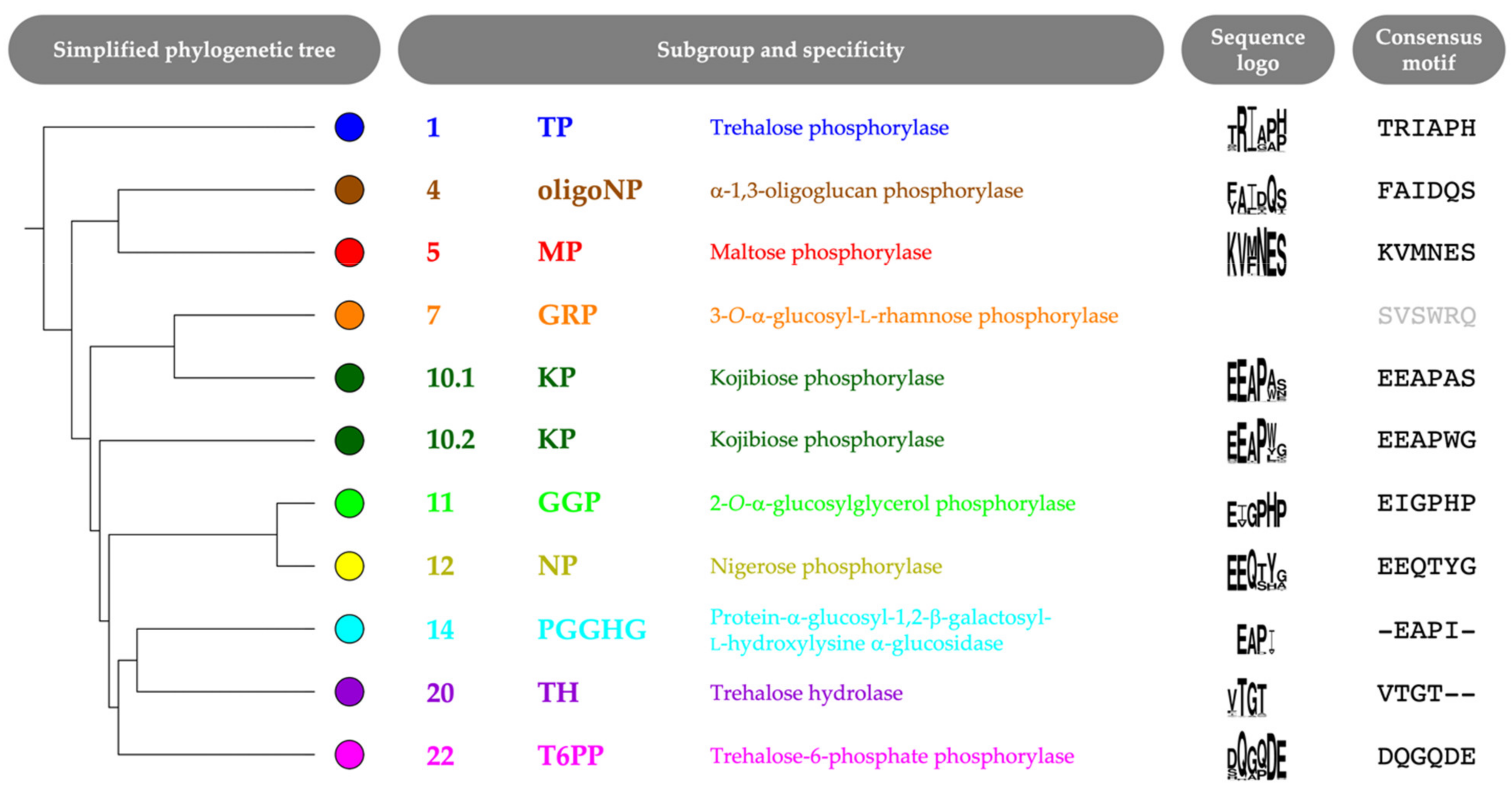 Molecules 26 06321 g004