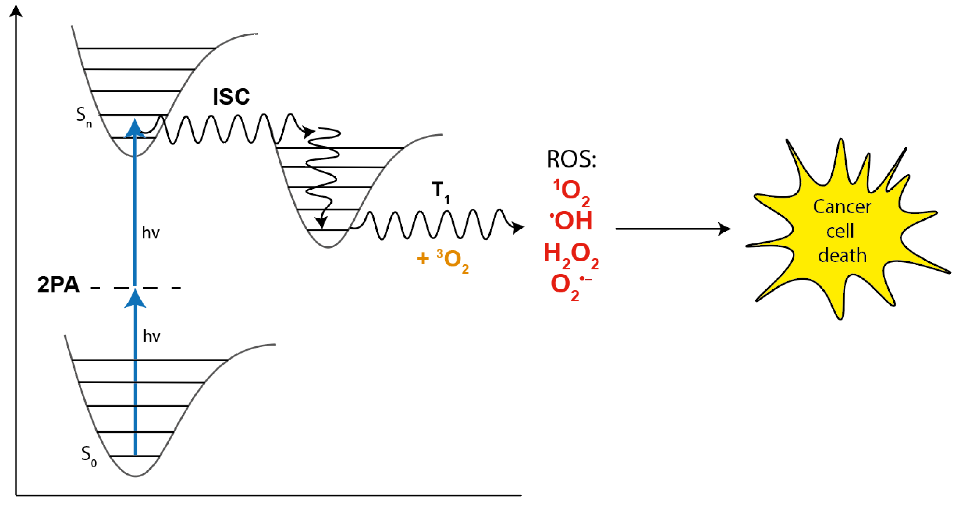 Molecules 26 06323 g002