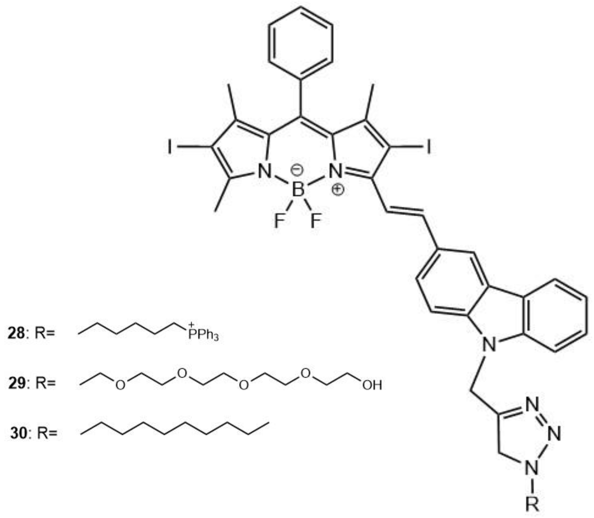 Molecules 26 06323 g013