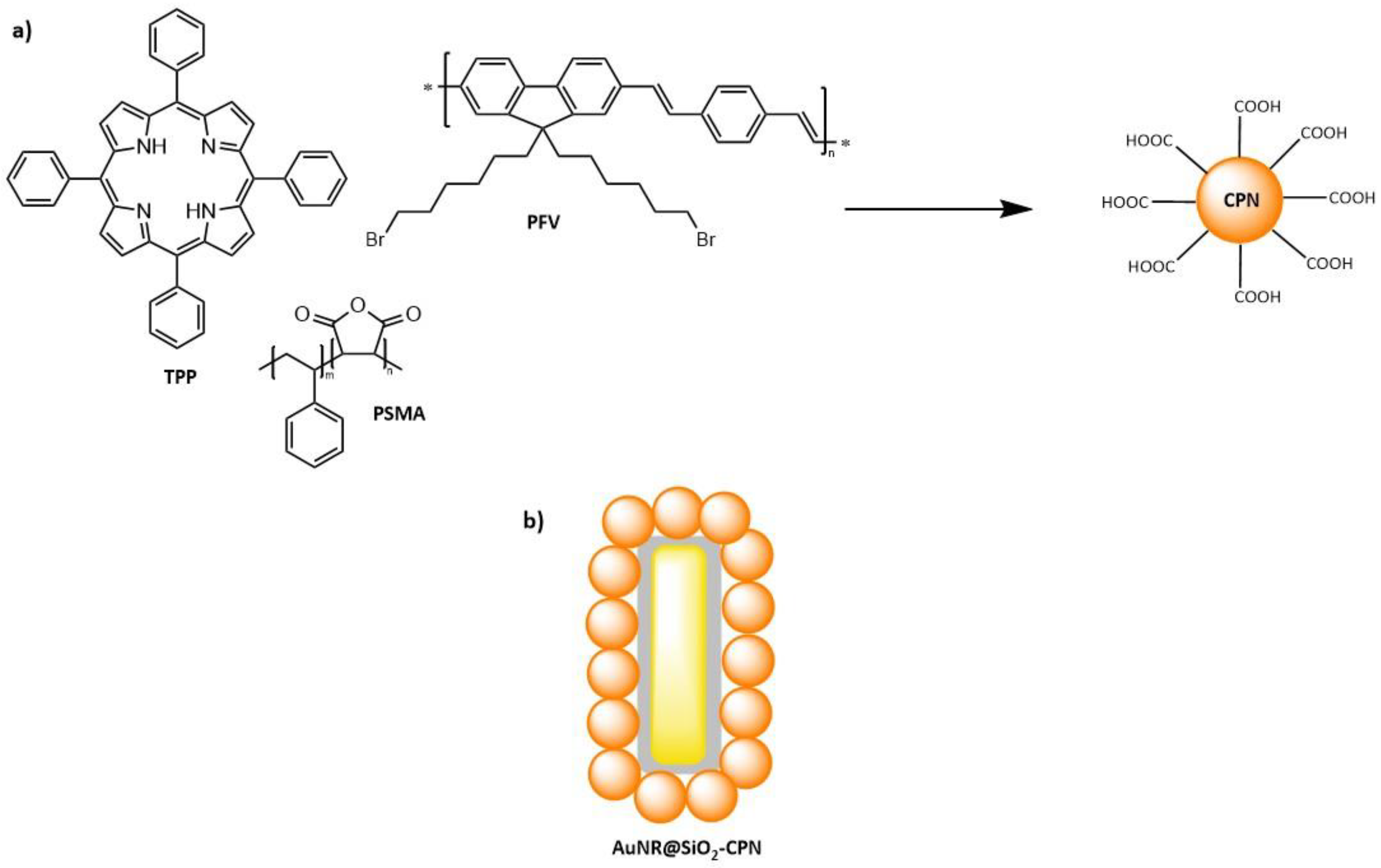 Molecules 26 06323 g019