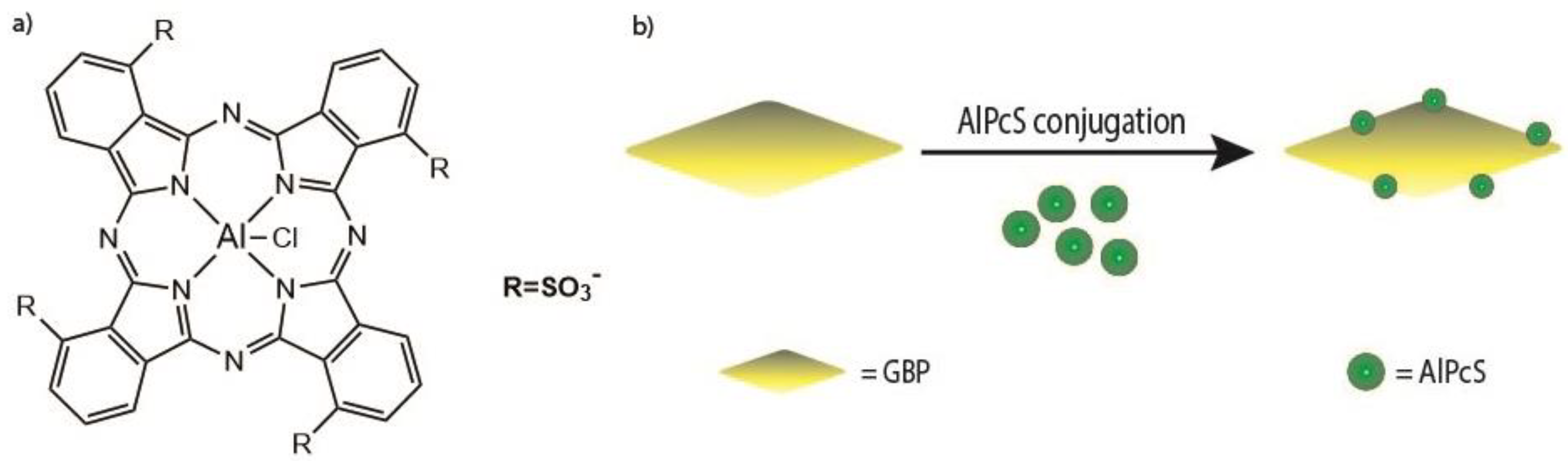 Molecules 26 06323 g024
